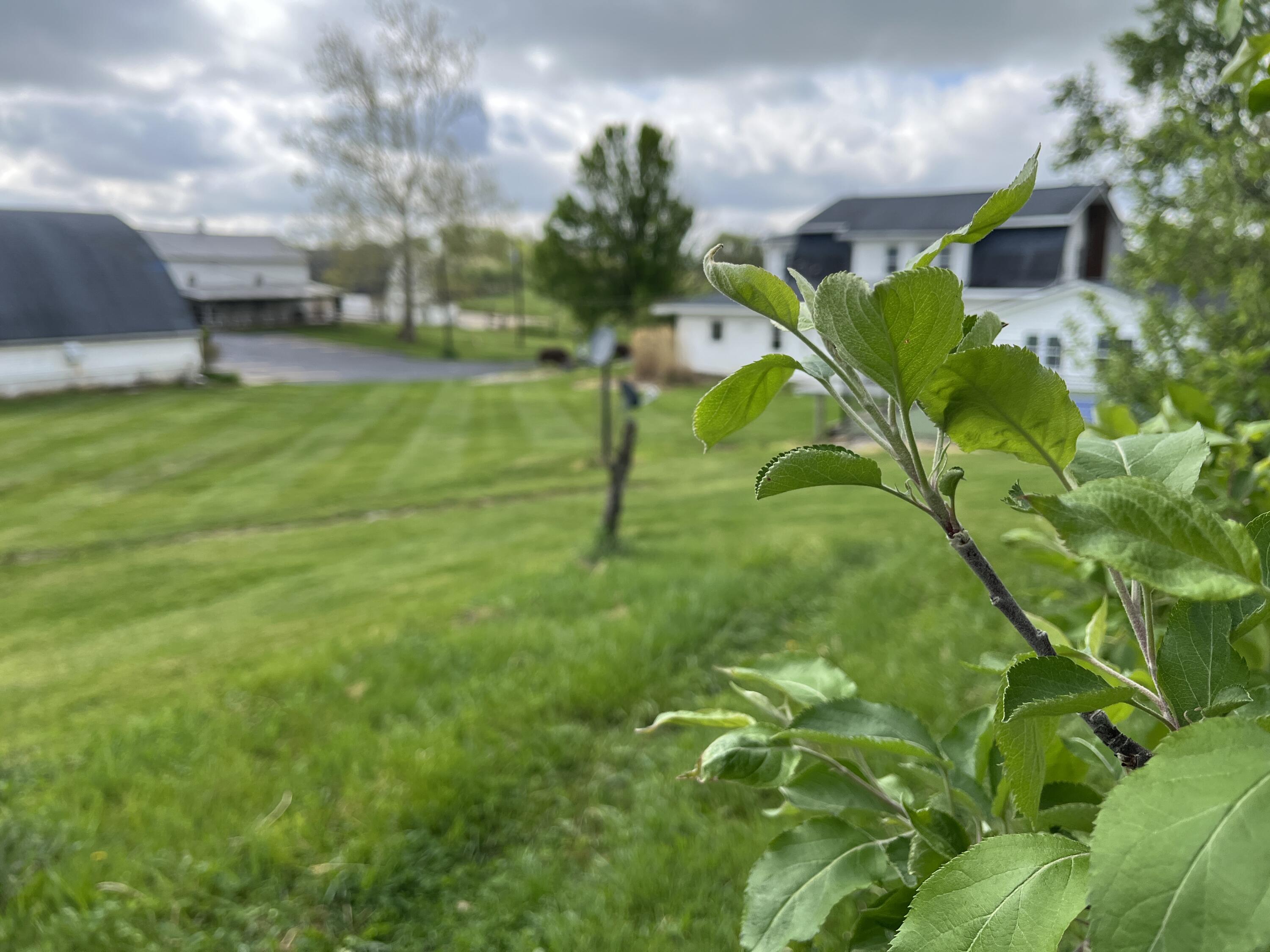 9319 Wesler Road, New Paris, Ohio 45347
