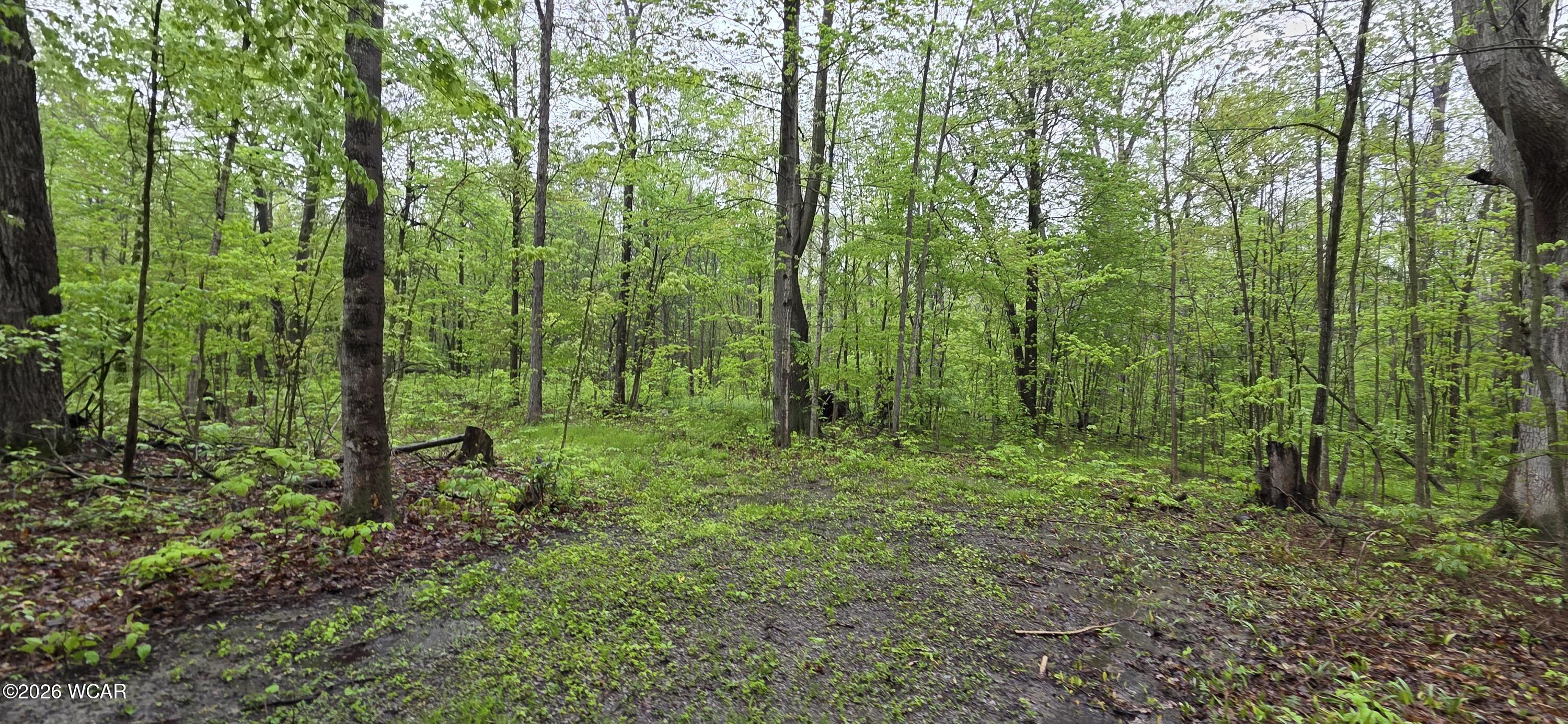 3775 Wolfe Road, Lima, Ohio