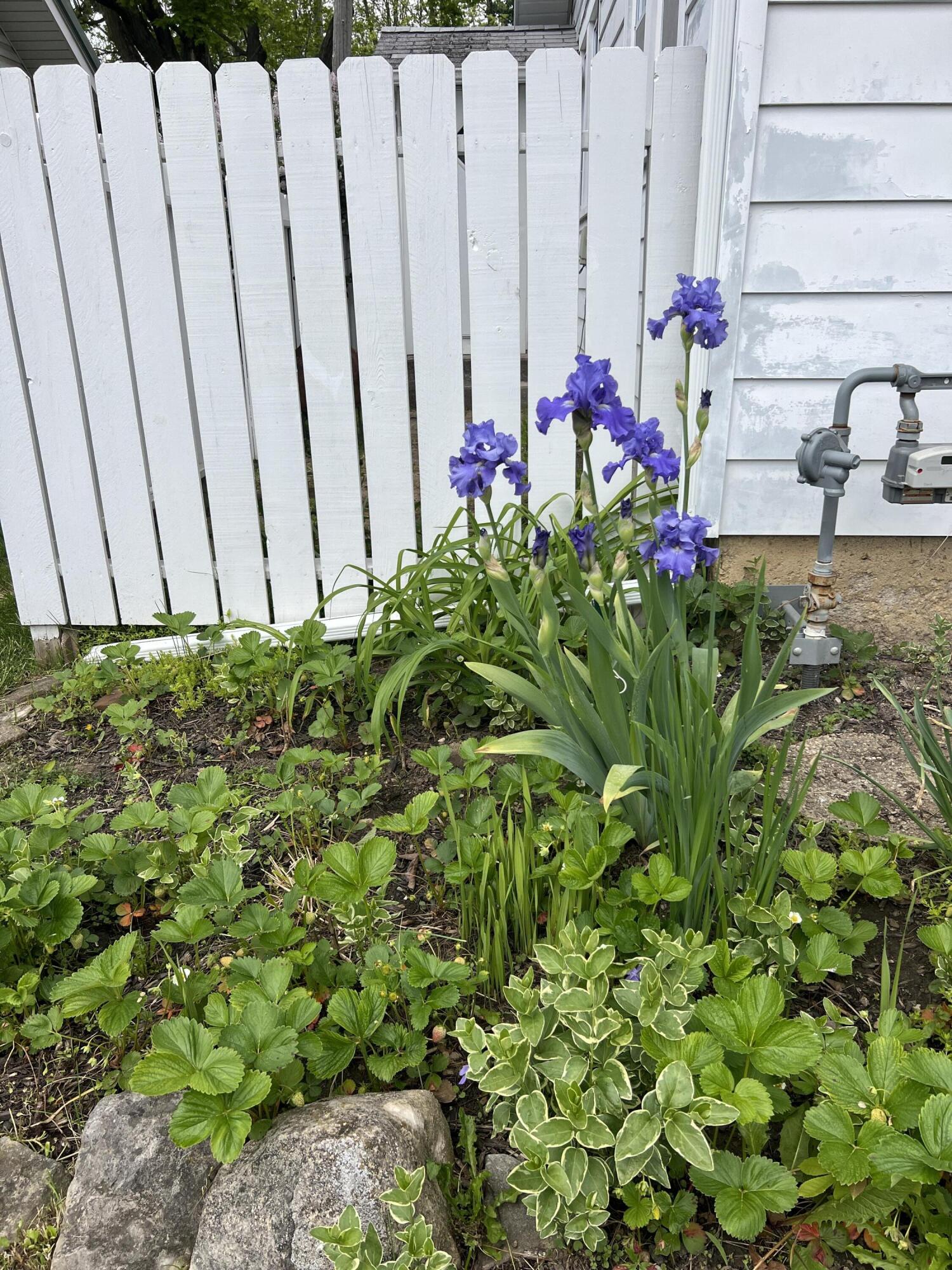 143 Stanley Street, Bellefontaine, Ohio 43311