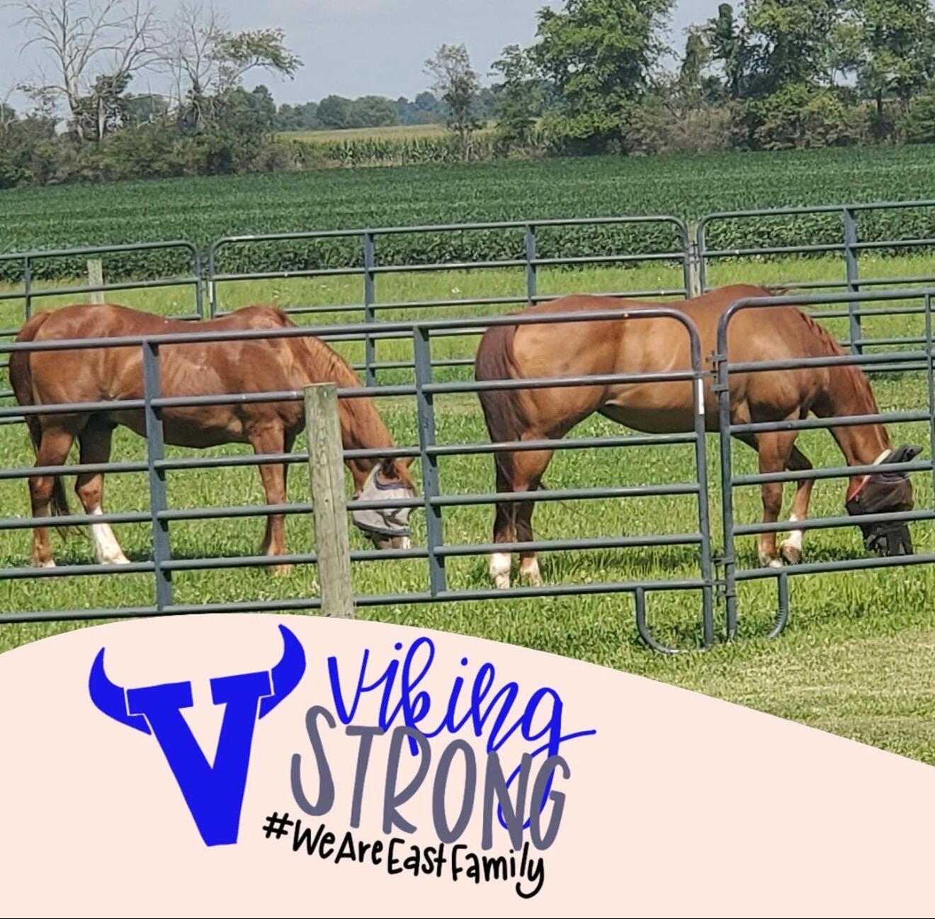 4505 Alcony Conov Road, Casstown, Ohio 45312