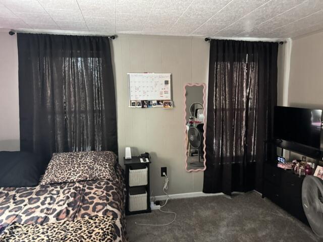 119 Detroit Street, West Liberty, Ohio 43357