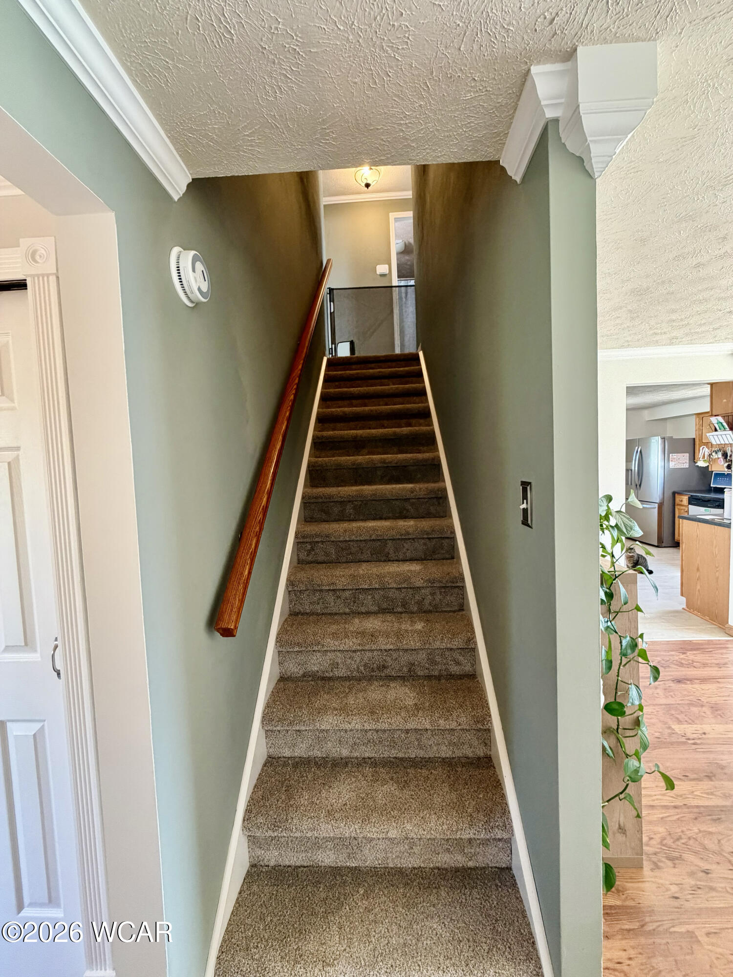 313 Cottonwood Street, Wapakoneta, Ohio