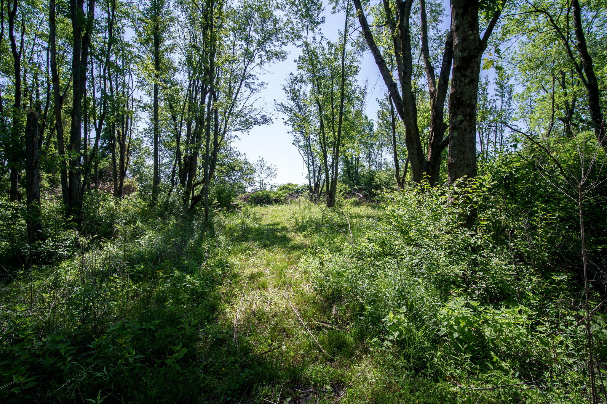5236 Springfield Xenia Road, Springfield, Ohio 45506