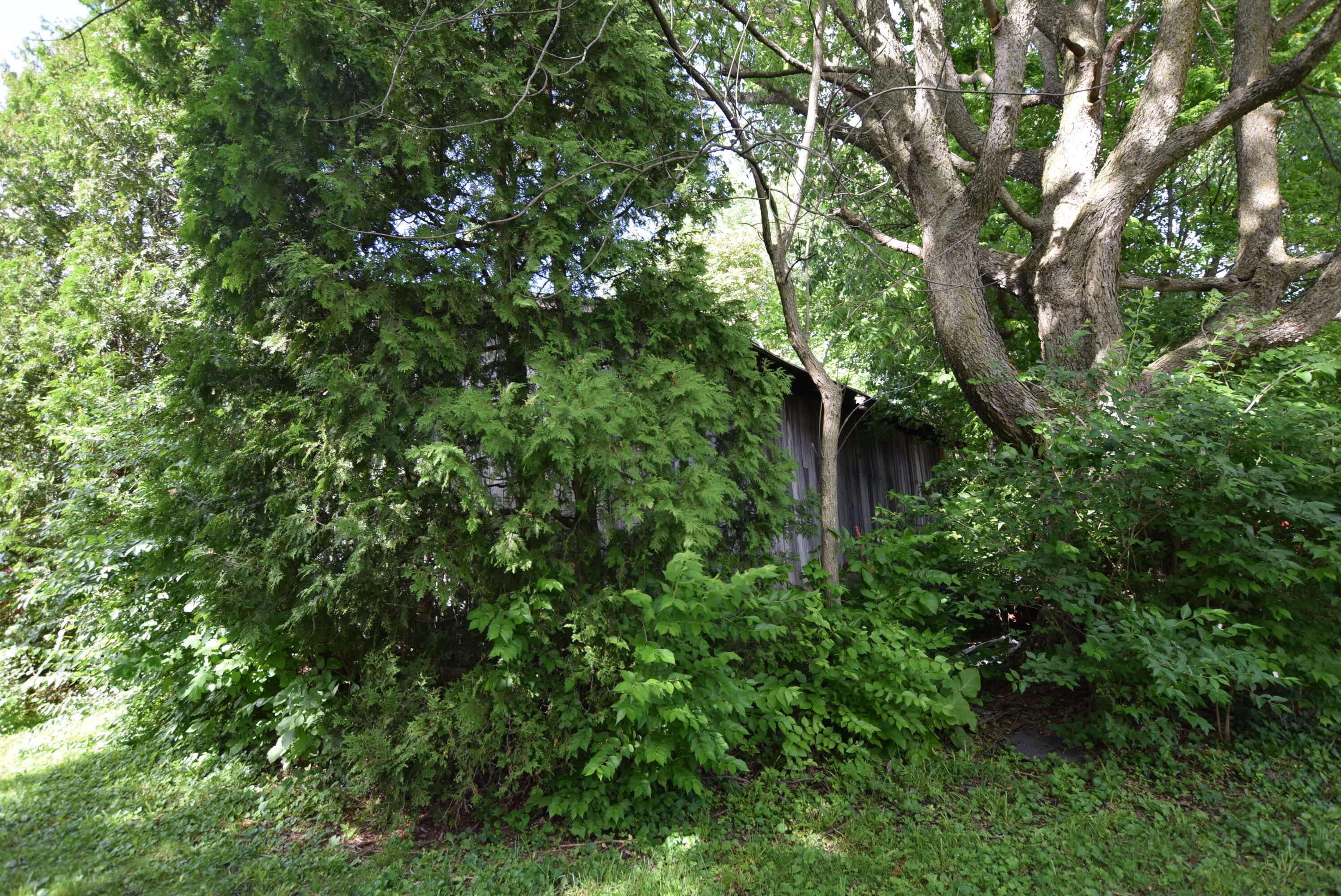 13095 Christiansburg Jackson Road, Saint Paris, Ohio 43072