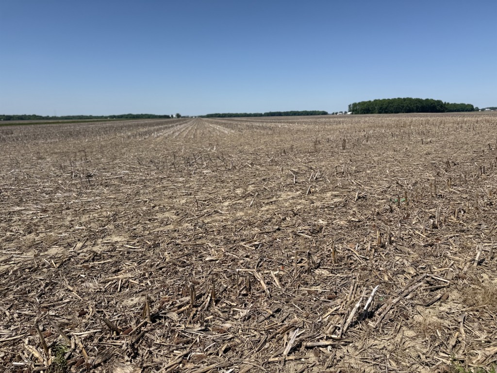98.29 ac Wyandot Co, OH   $18,000/AC
