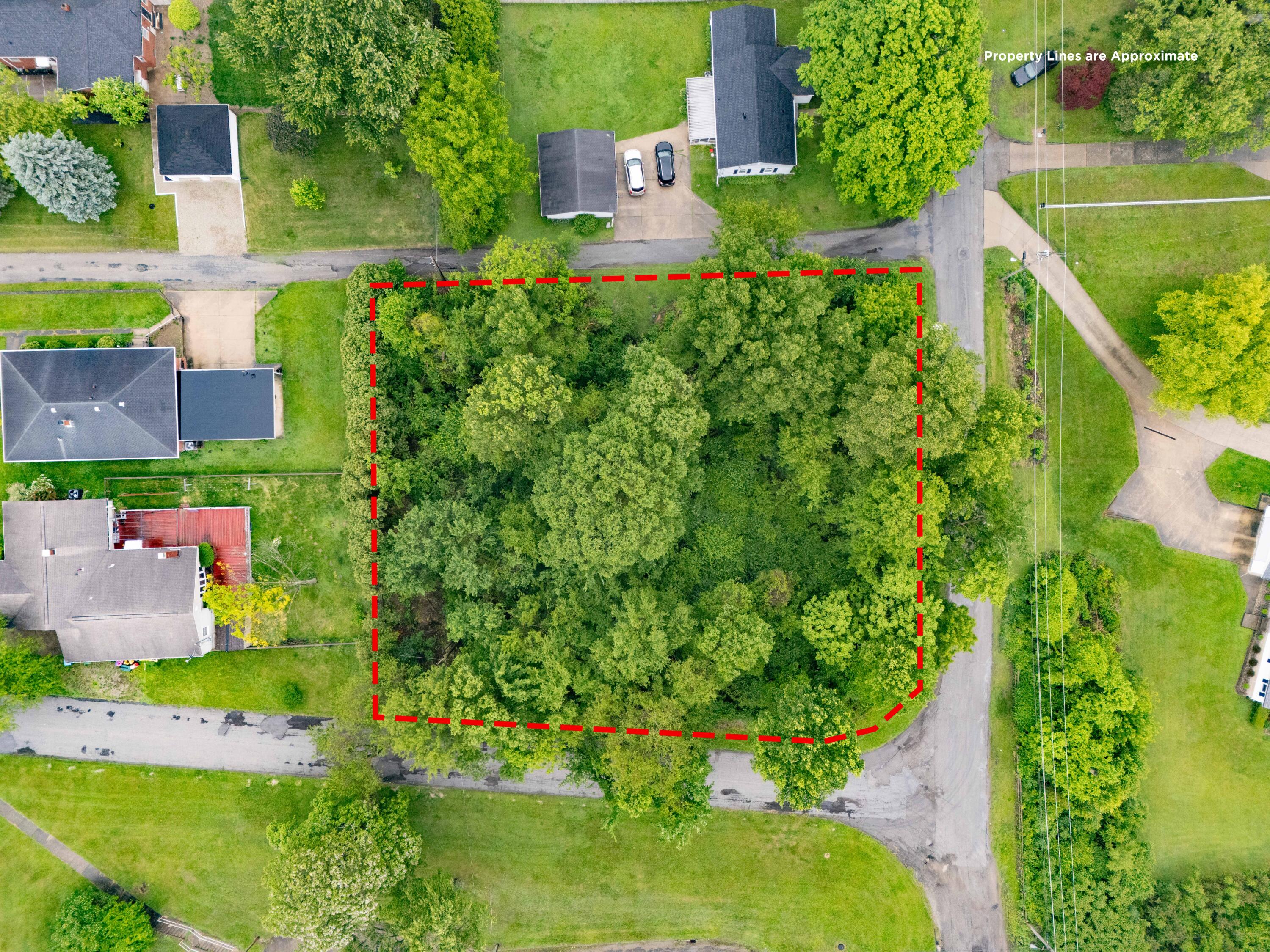 Walnut, Sidney, Ohio 45365