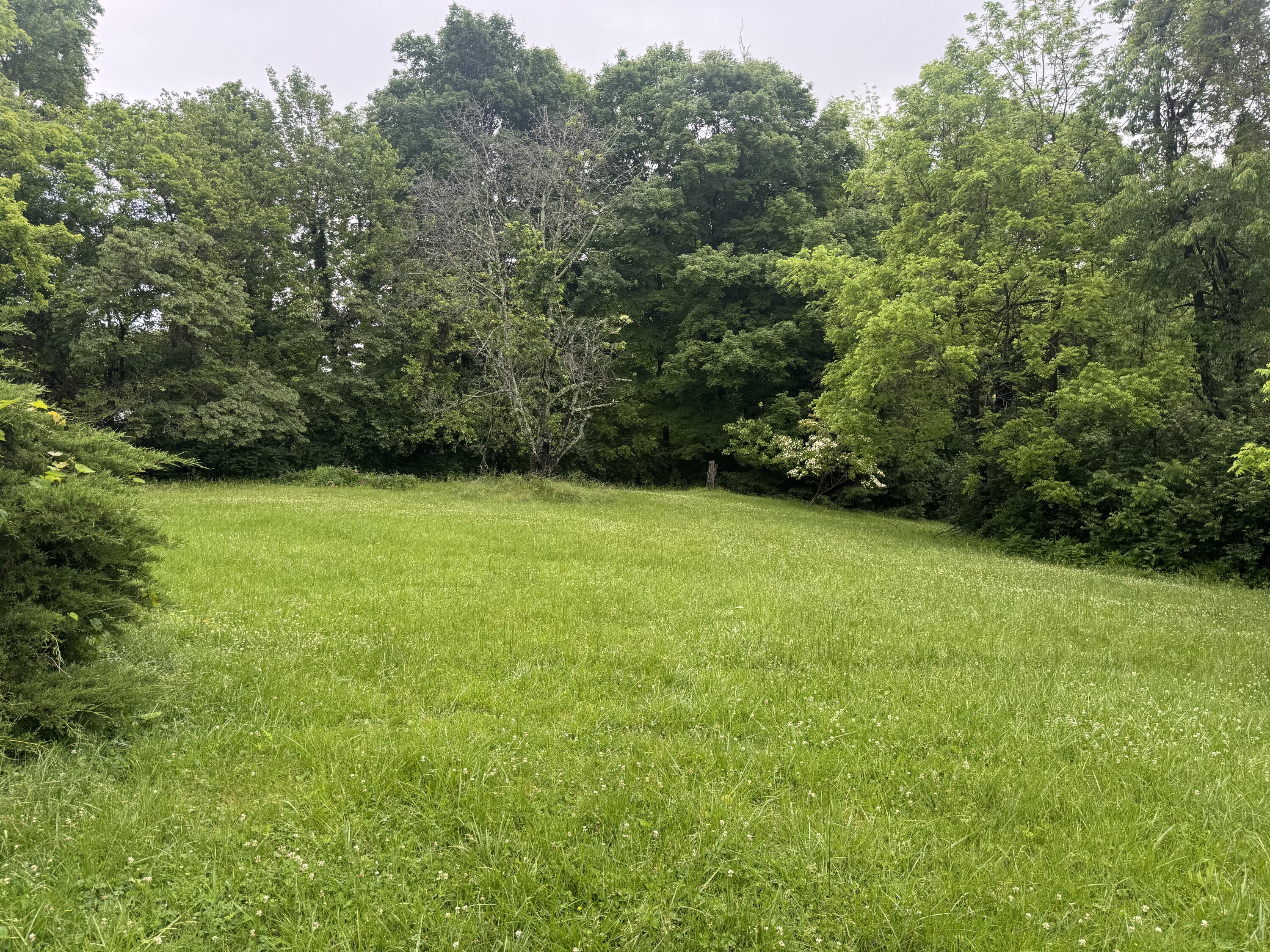 254 Oakridge Drive, Springfield, Ohio 45504