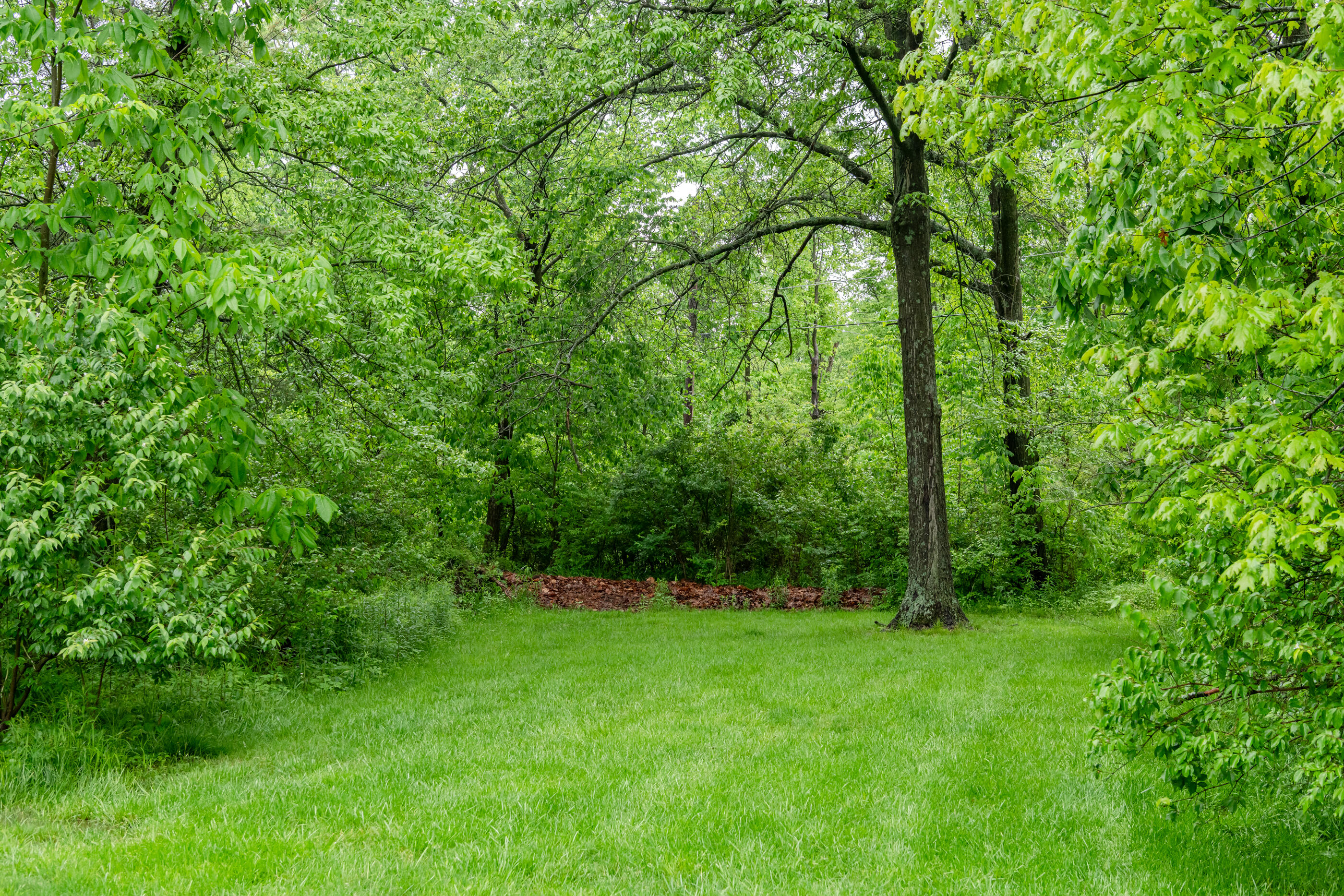 1625 Rustic Ridge Road, Urbana, Ohio 43078