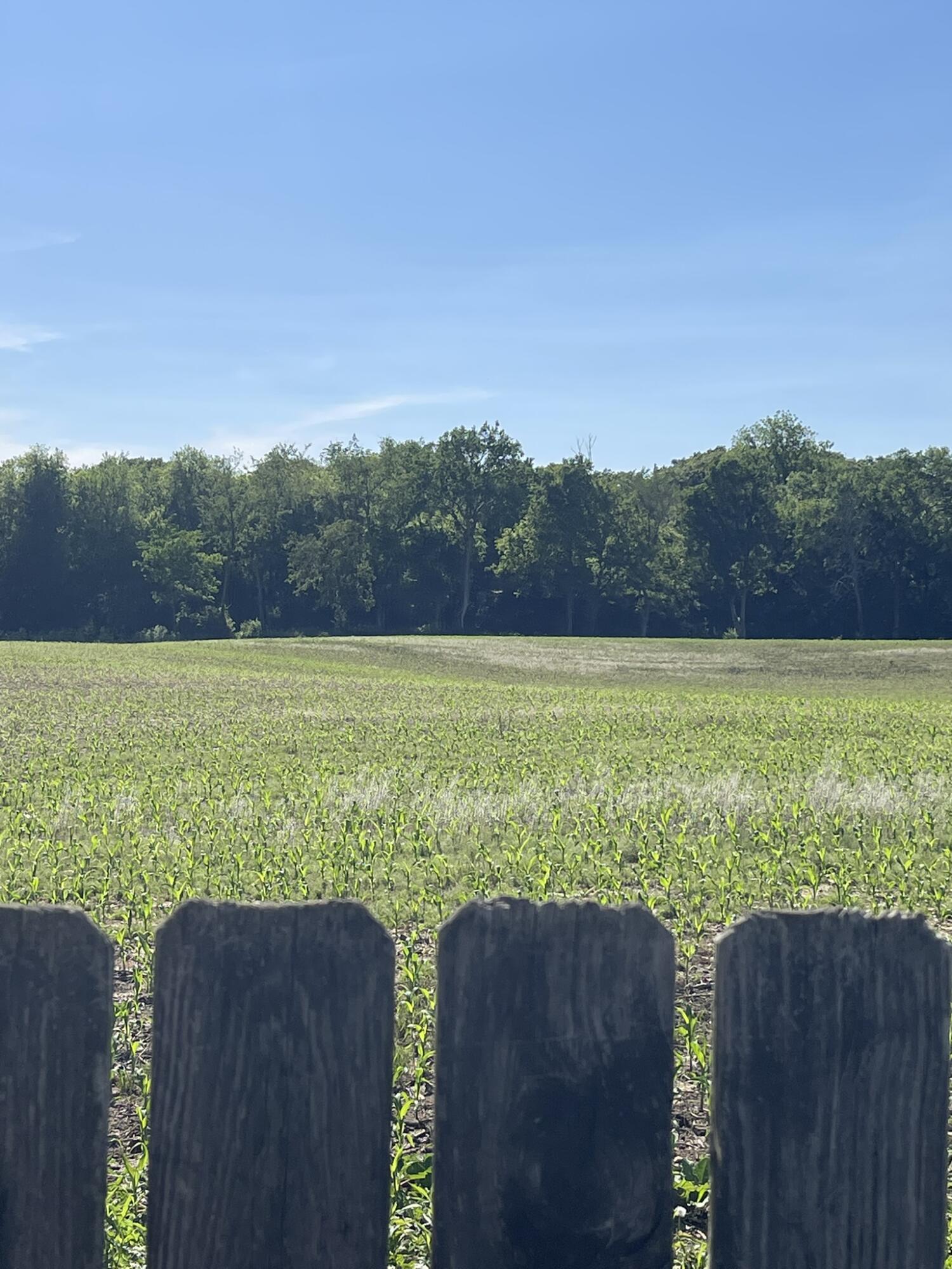 5427 Richmoor Road, Springfield, Ohio 45503
