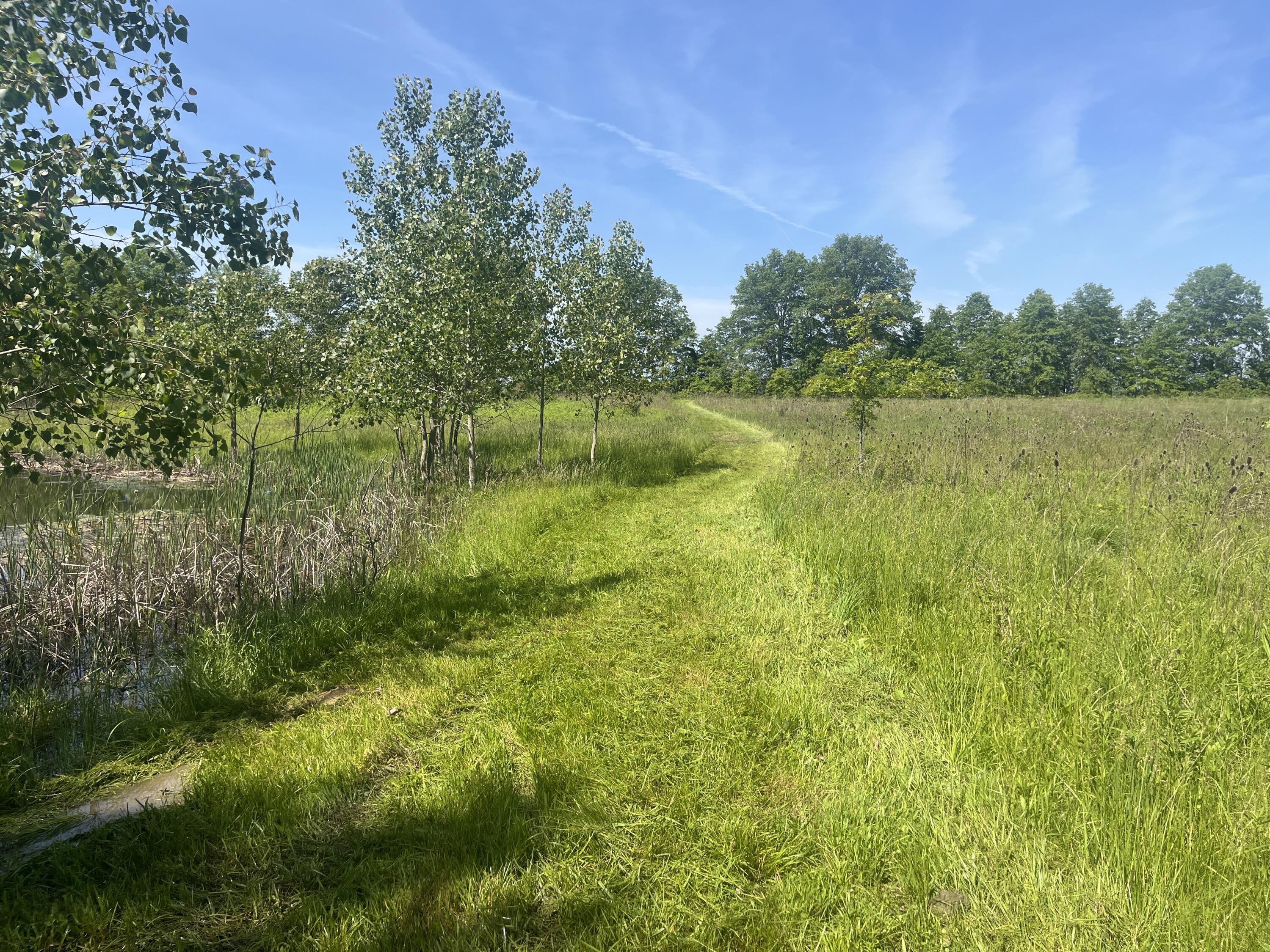 0 Boundary Road, Richwood, Ohio 43344