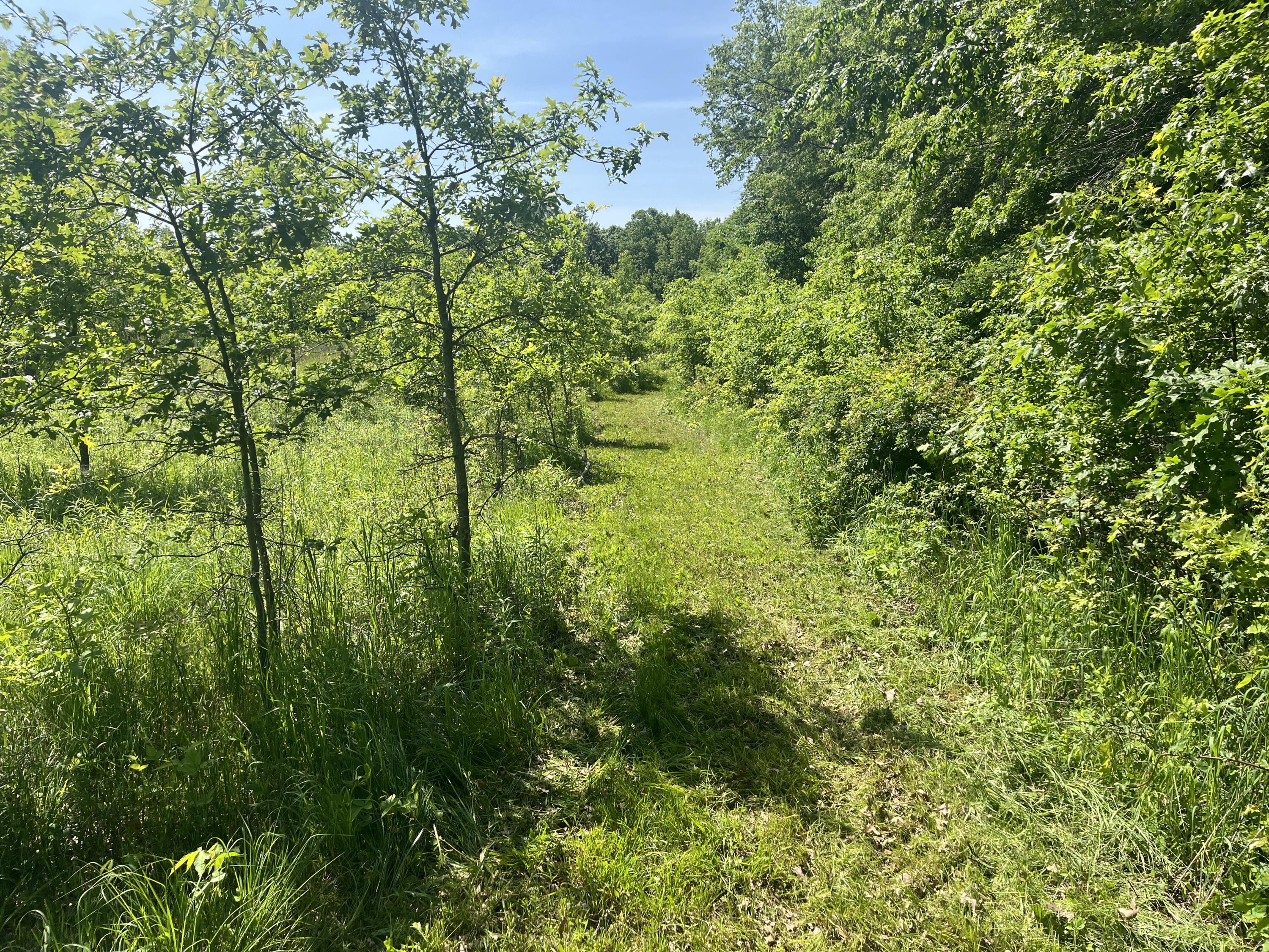 0 Boundary Road, Richwood, Ohio 43344