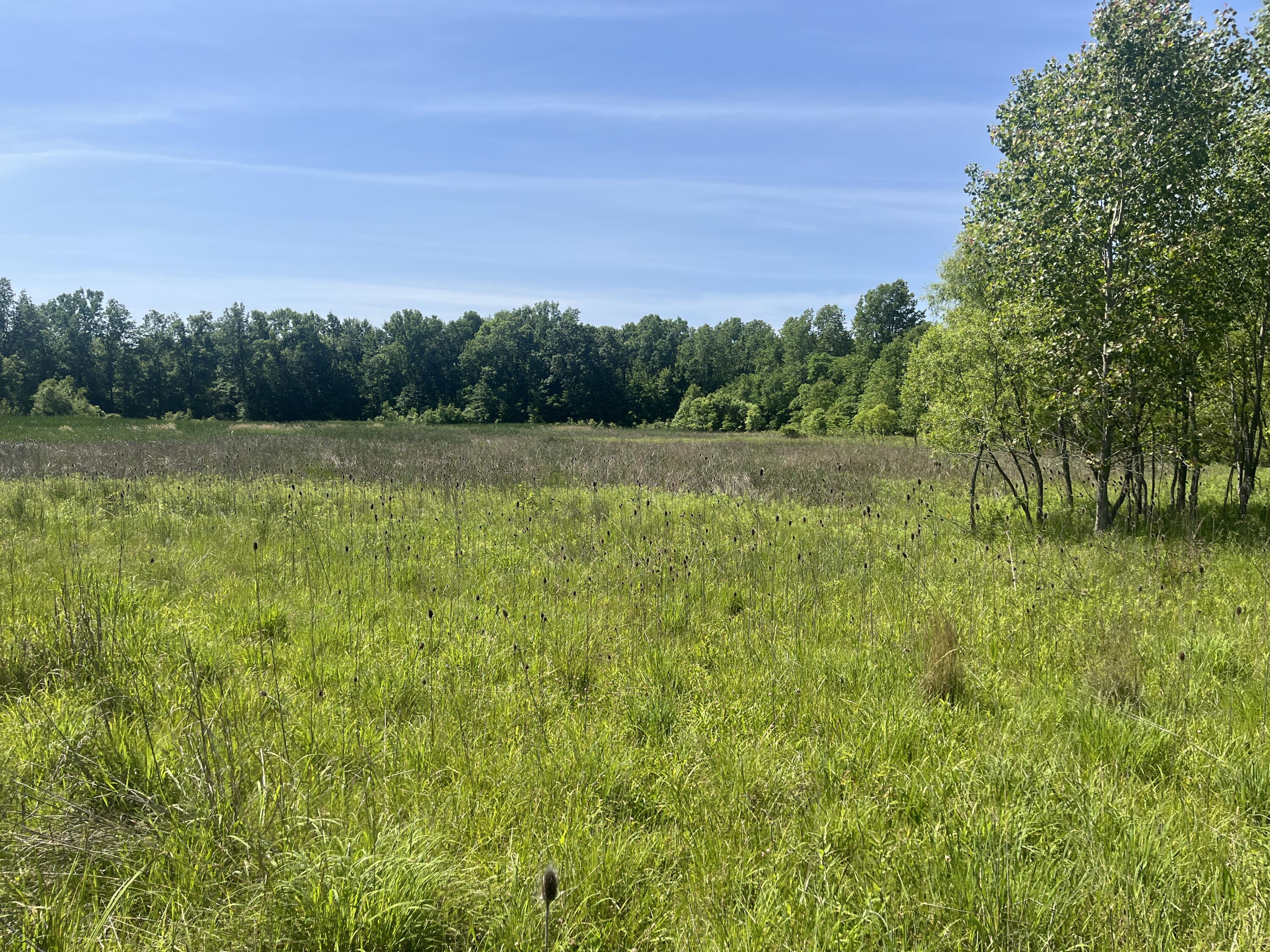 0 Boundary Road, Richwood, Ohio 43344