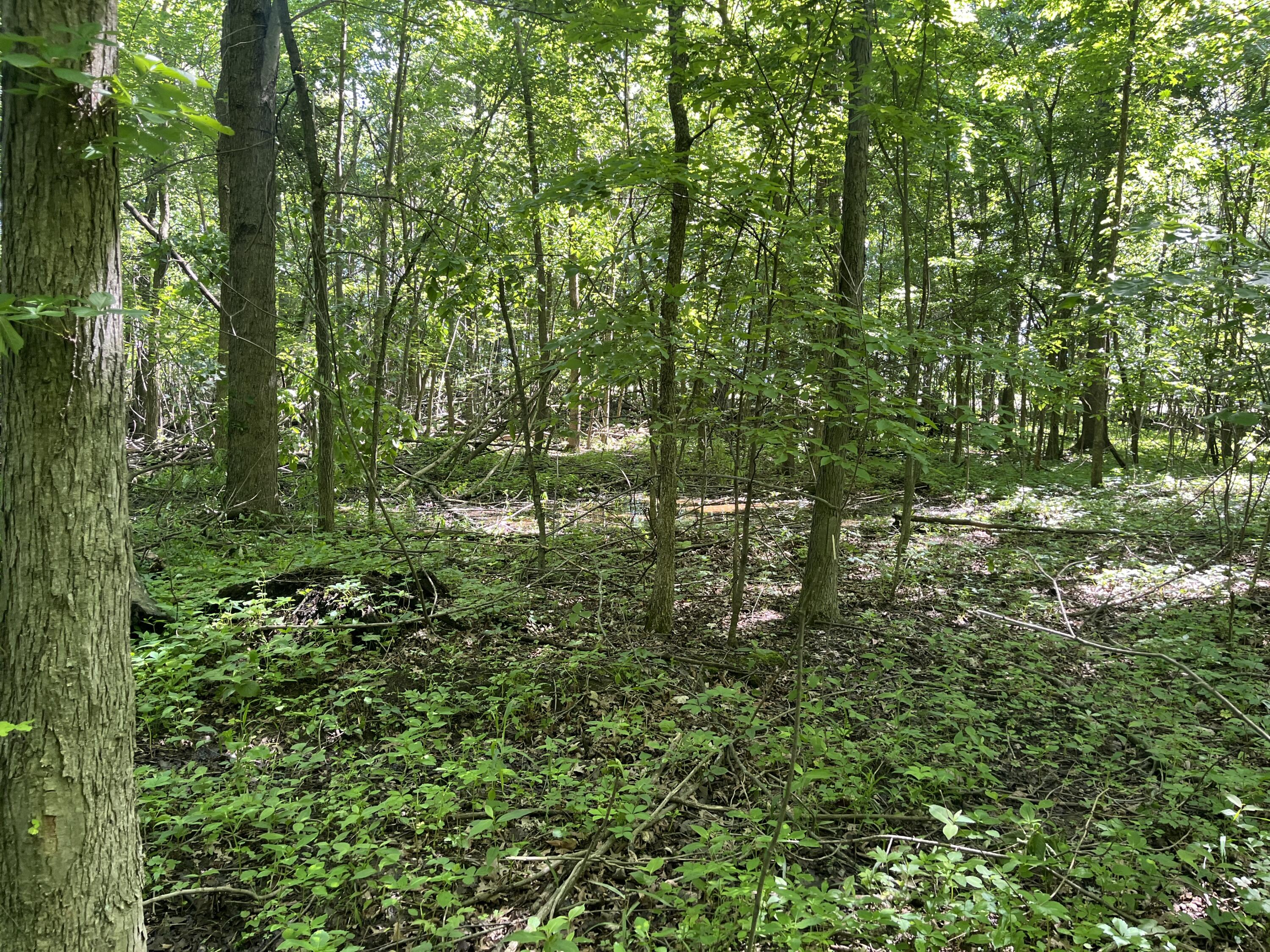 0 Boundary Road, Richwood, Ohio 43344