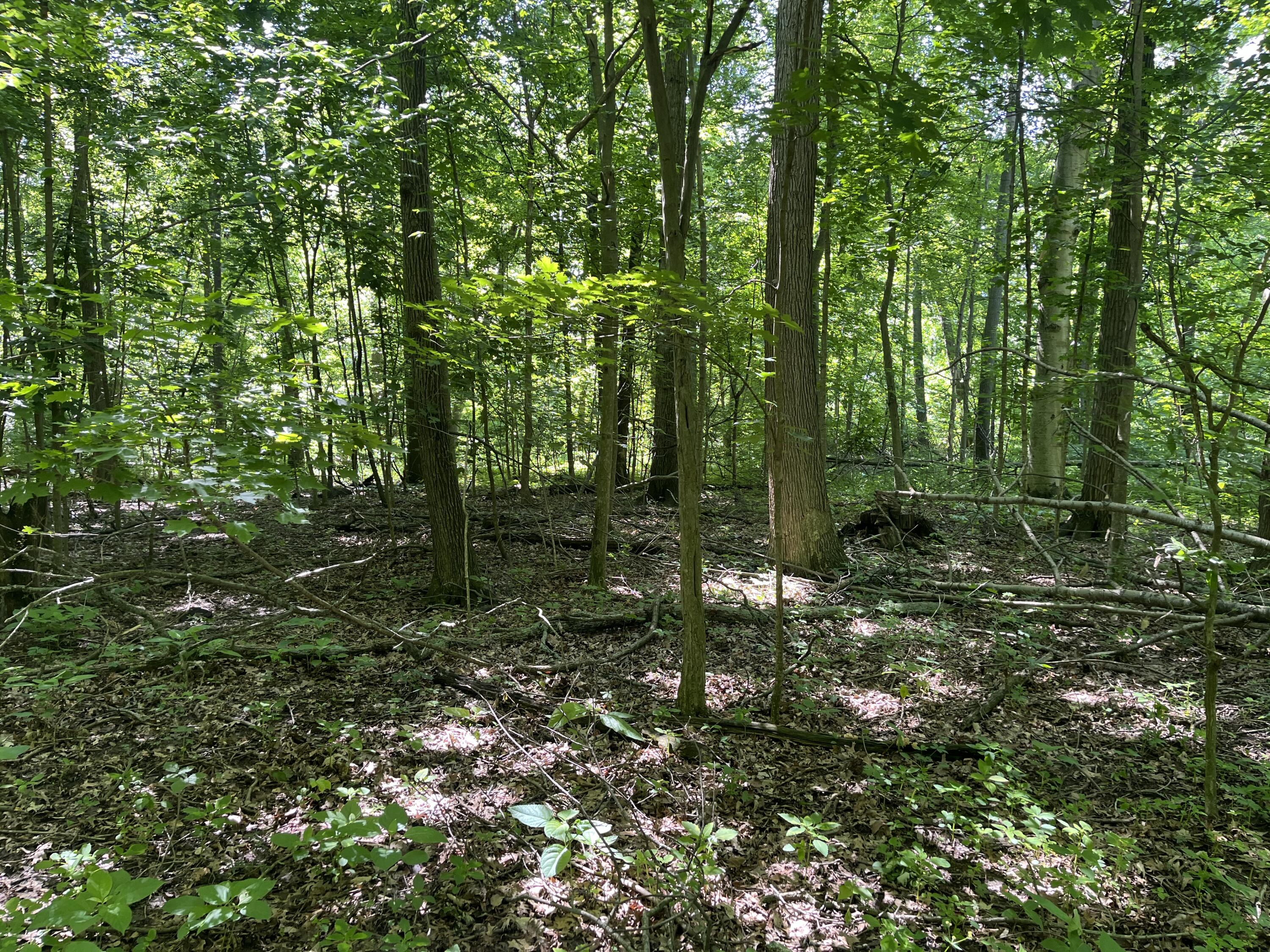 0 Boundary Road, Richwood, Ohio 43344