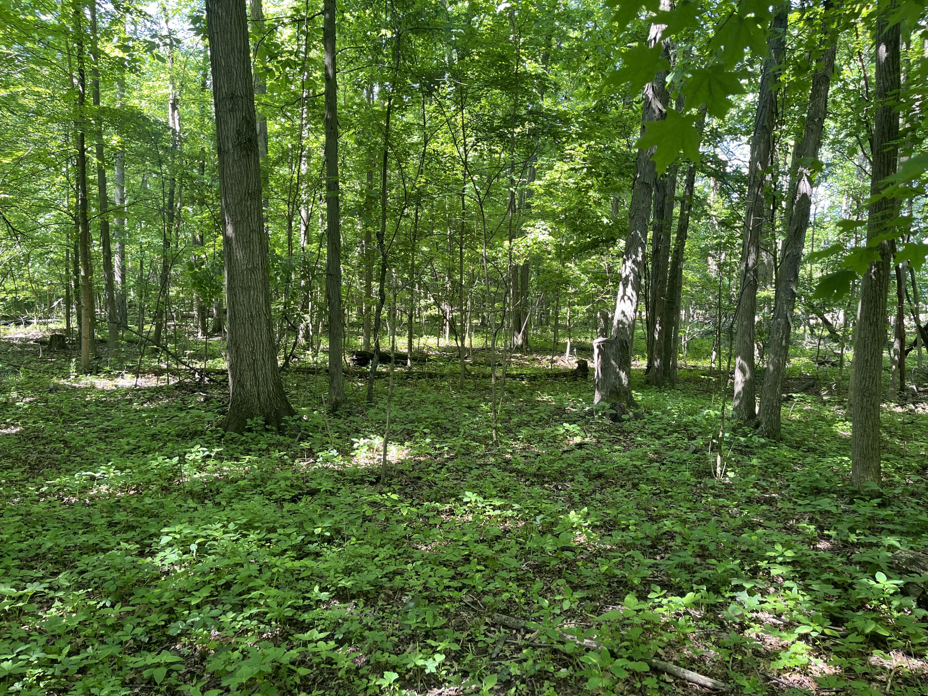 0 Boundary Road, Richwood, Ohio 43344