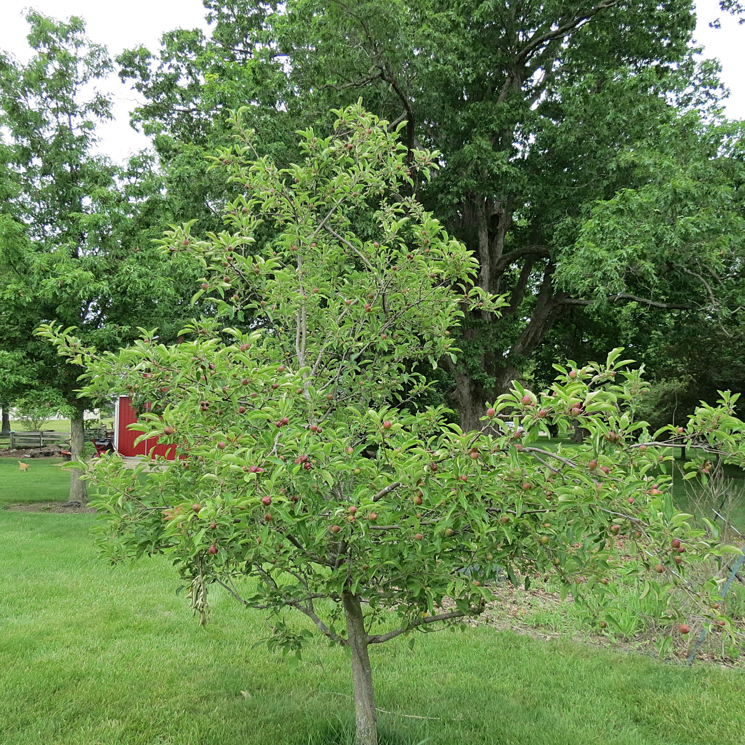 10900 Scott Road, Sidney, Ohio 45365