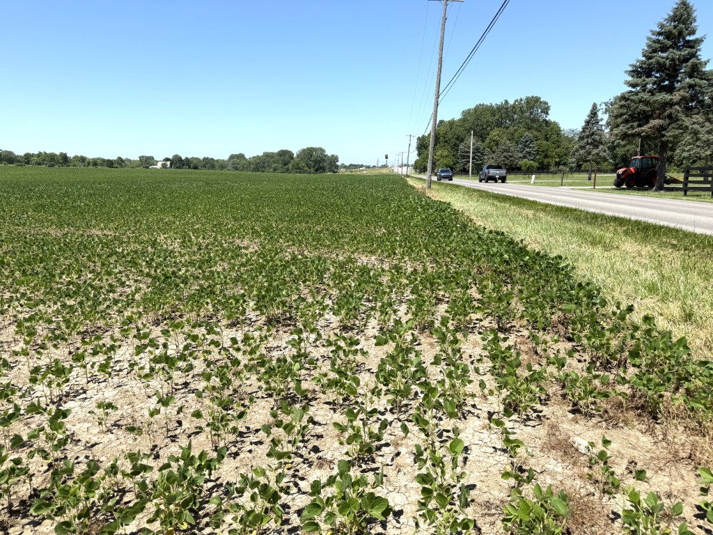 50.17 ac Allen Co (Delong Rd. & W. Breese Rd., Lima, OH)--$38,000/ac