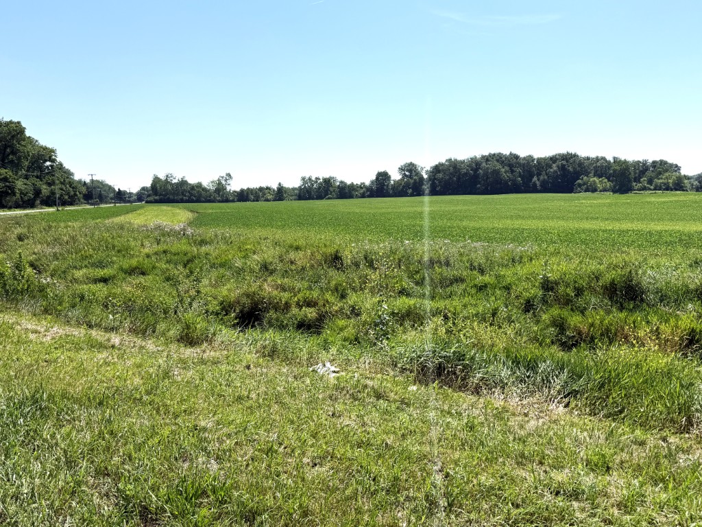 50.17 ac Allen Co (Delong Rd. & W. Breese Rd., Lima, OH)--$38,000/ac