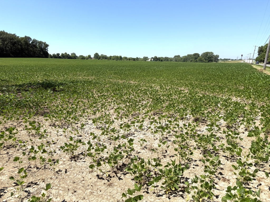50.17 ac Allen Co (Delong Rd. & W. Breese Rd., Lima, OH)--$38,000/ac