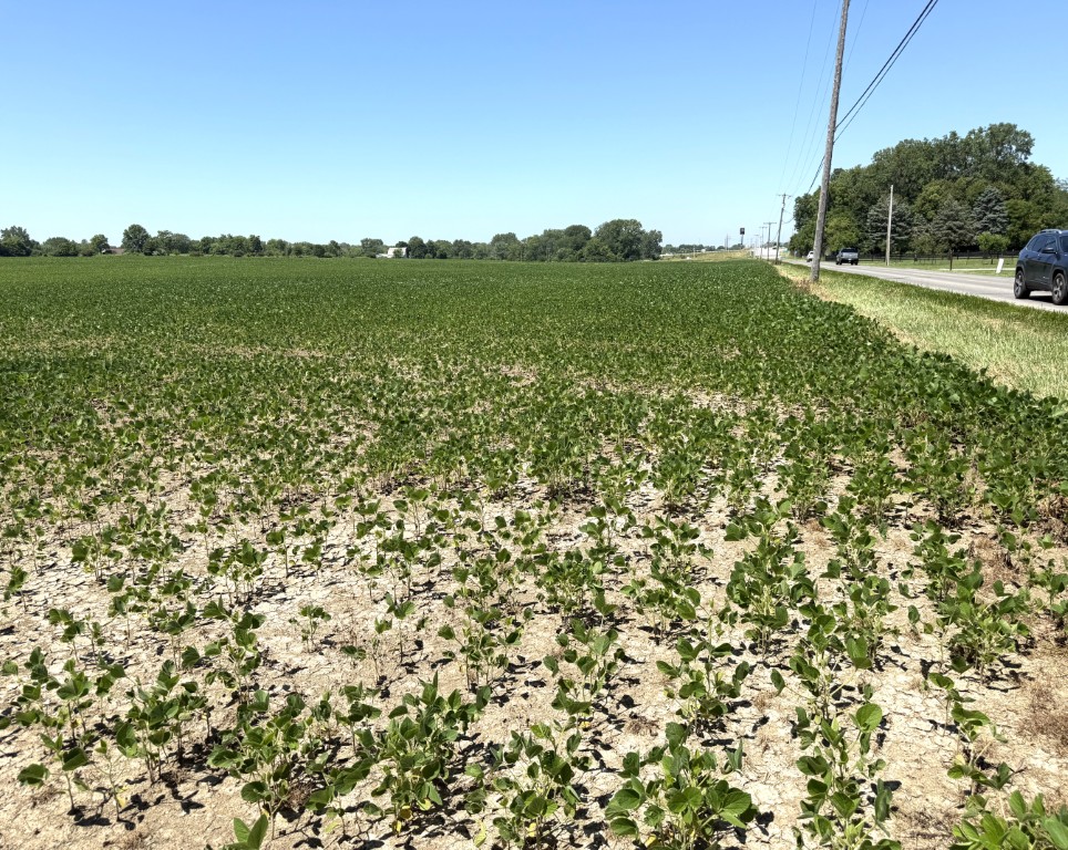 50.17 ac Allen Co (Delong Rd. & W. Breese Rd., Lima, OH)--$38,000/ac