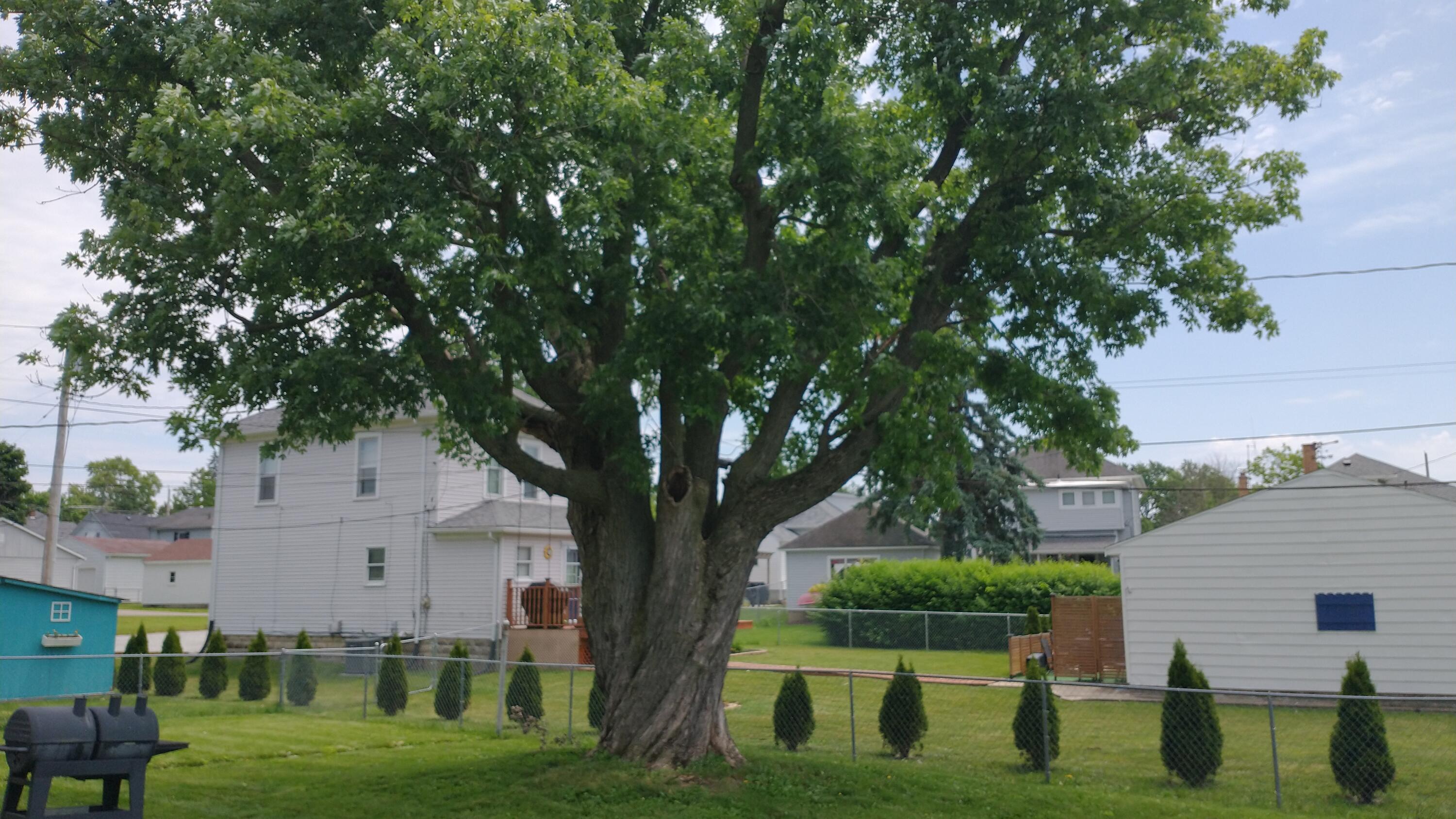 605 Lindsey, Piqua, Ohio 45356