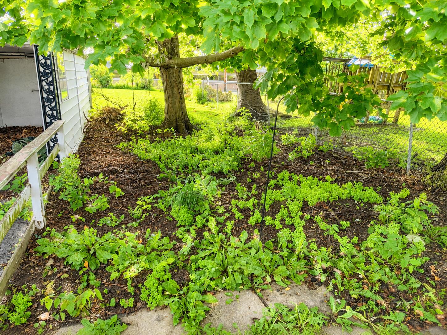 221 Madriver, Bellefontaine, Ohio 43311