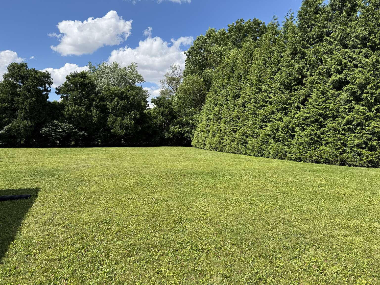 132 Ruth, Sidney, Ohio 45365
