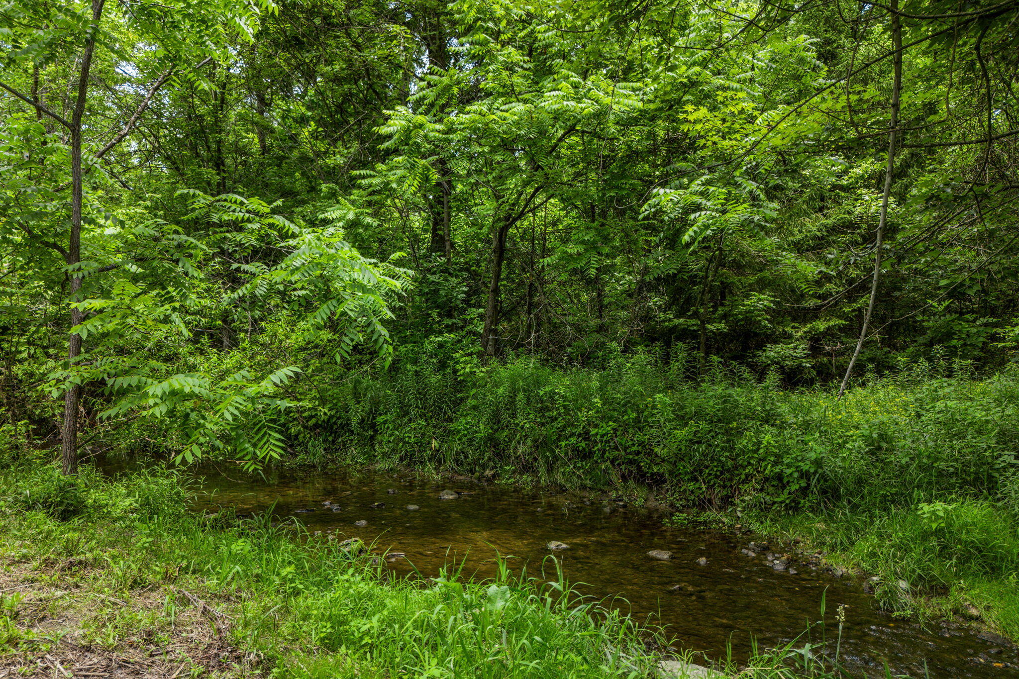 3600 Folk Ream, Springfield, Ohio 45502