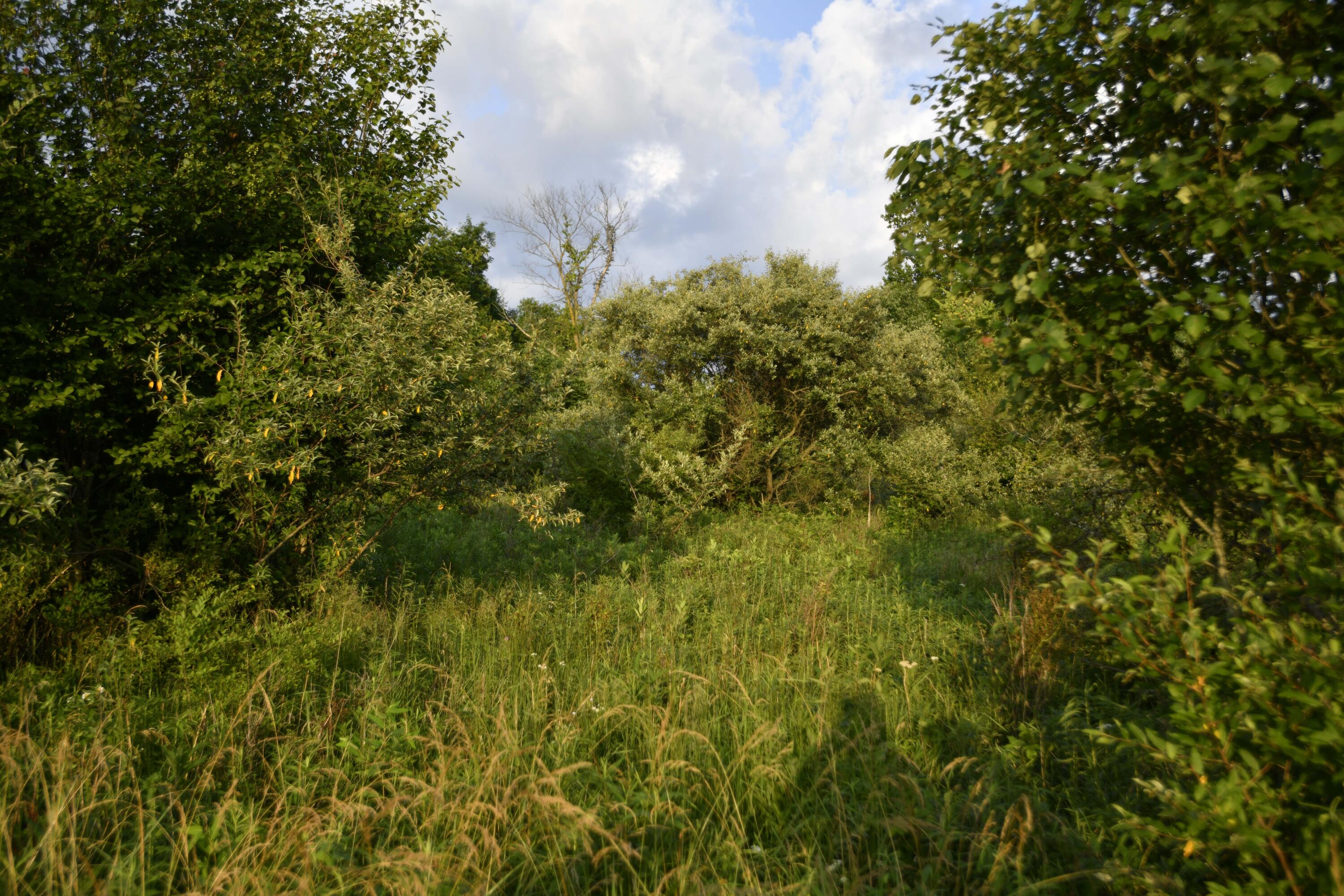 0 County Road 10, Bellefontaine, Ohio 43311