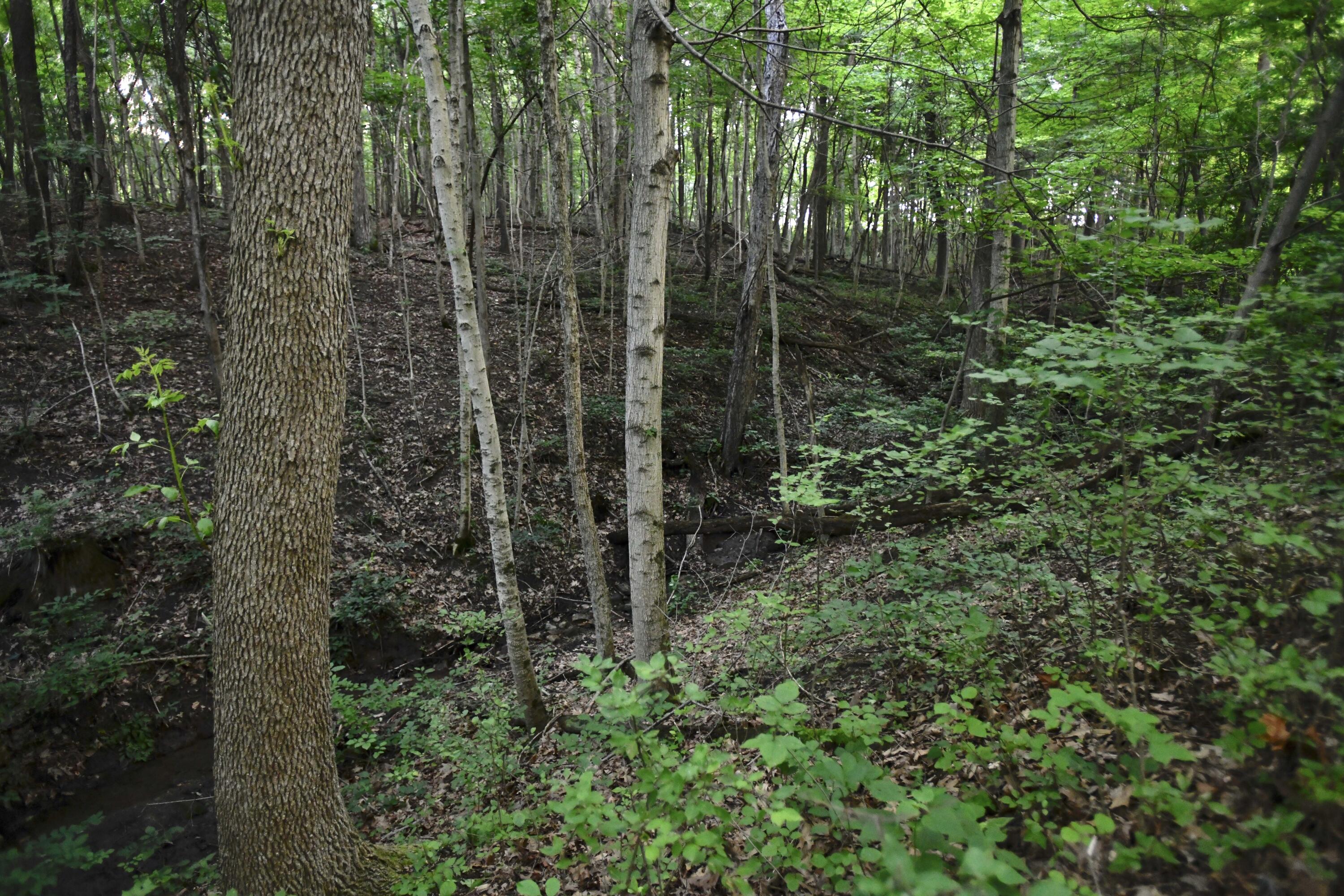 0 County Road 10, Bellefontaine, Ohio 43311