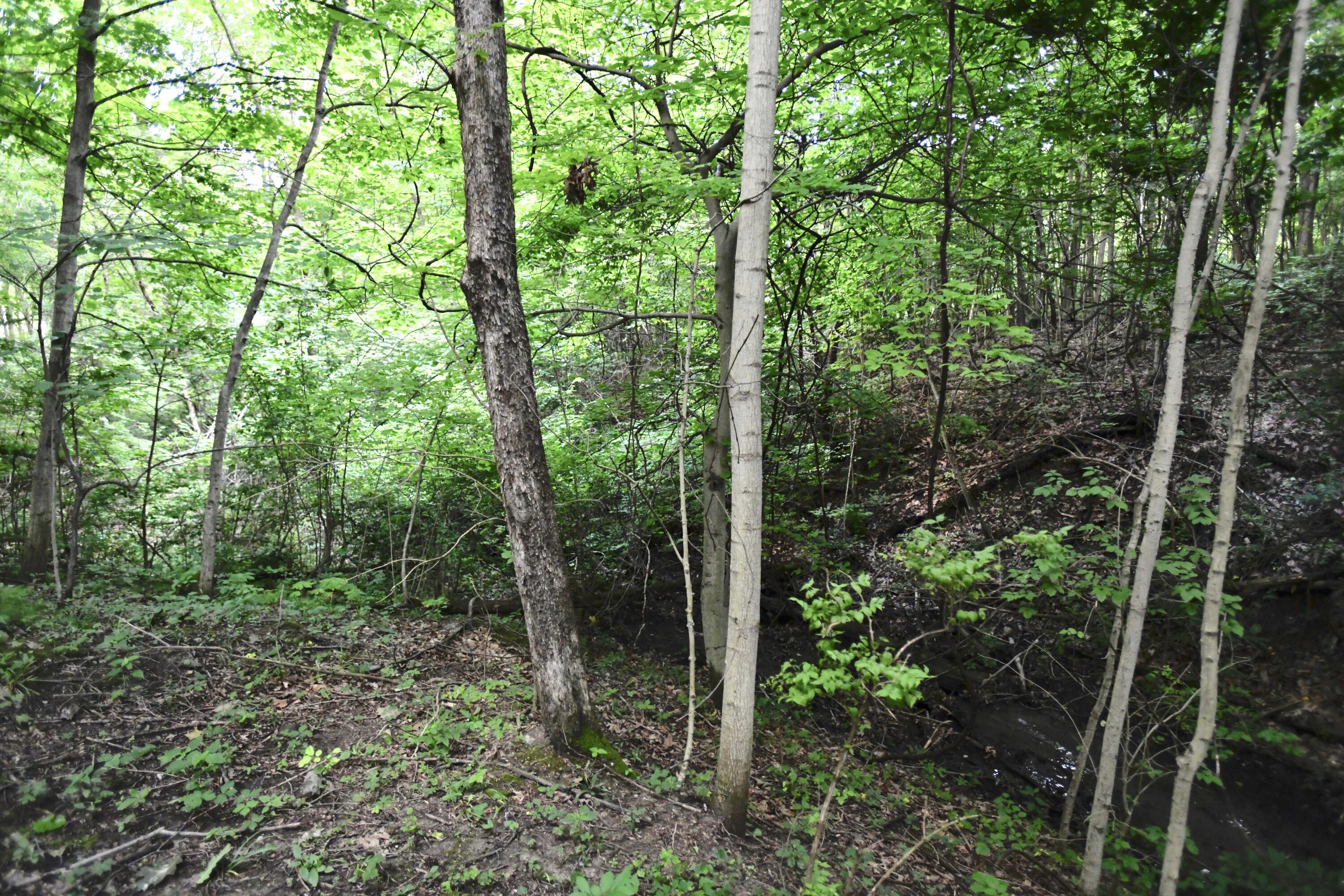 0 County Road 10, Bellefontaine, Ohio 43311