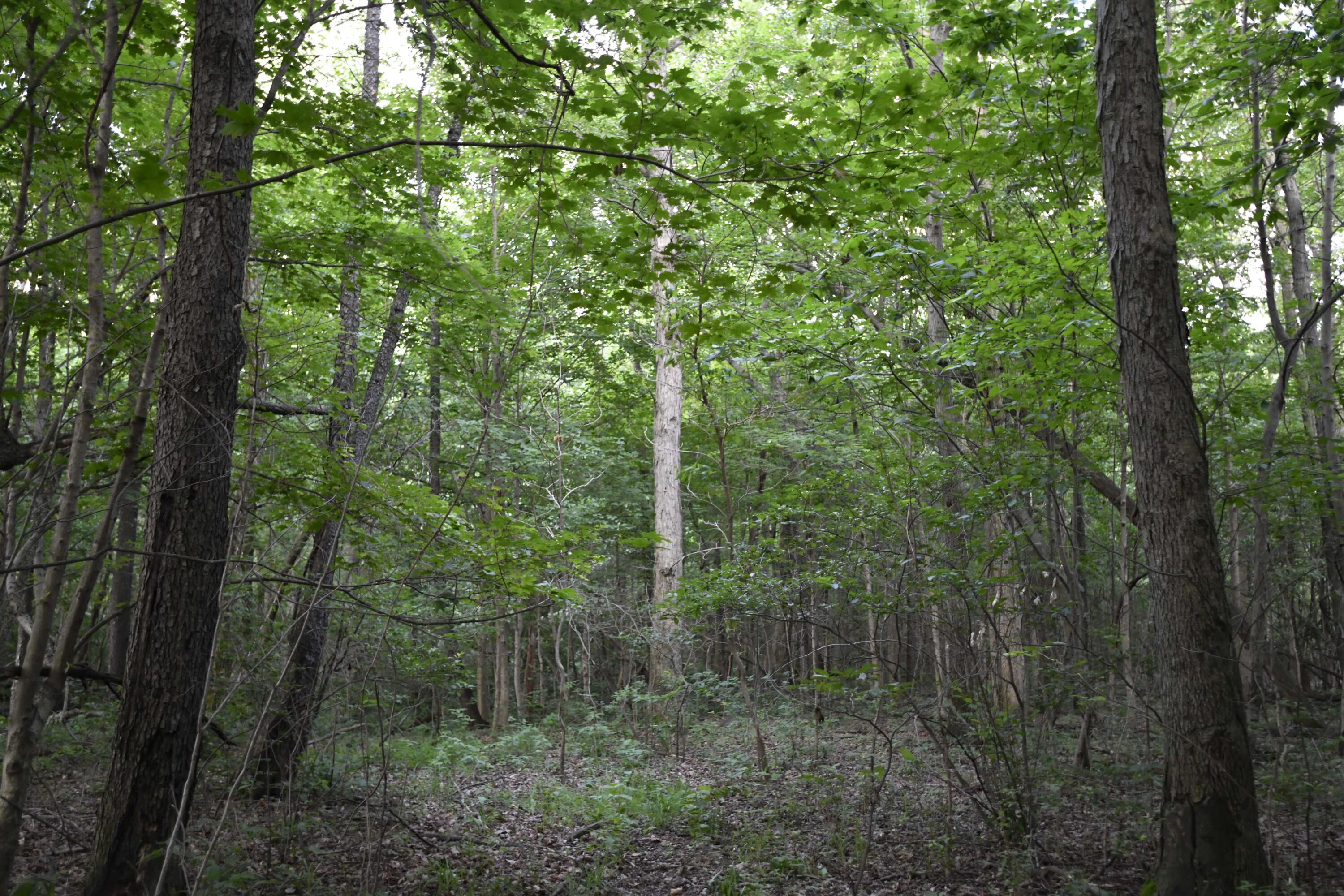 0 County Road 10, Bellefontaine, Ohio 43311