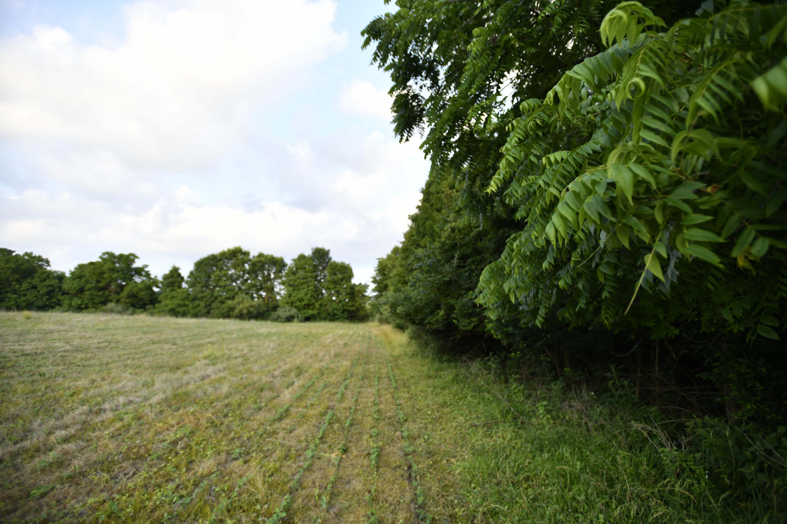0 County Road 10, Bellefontaine, Ohio 43311