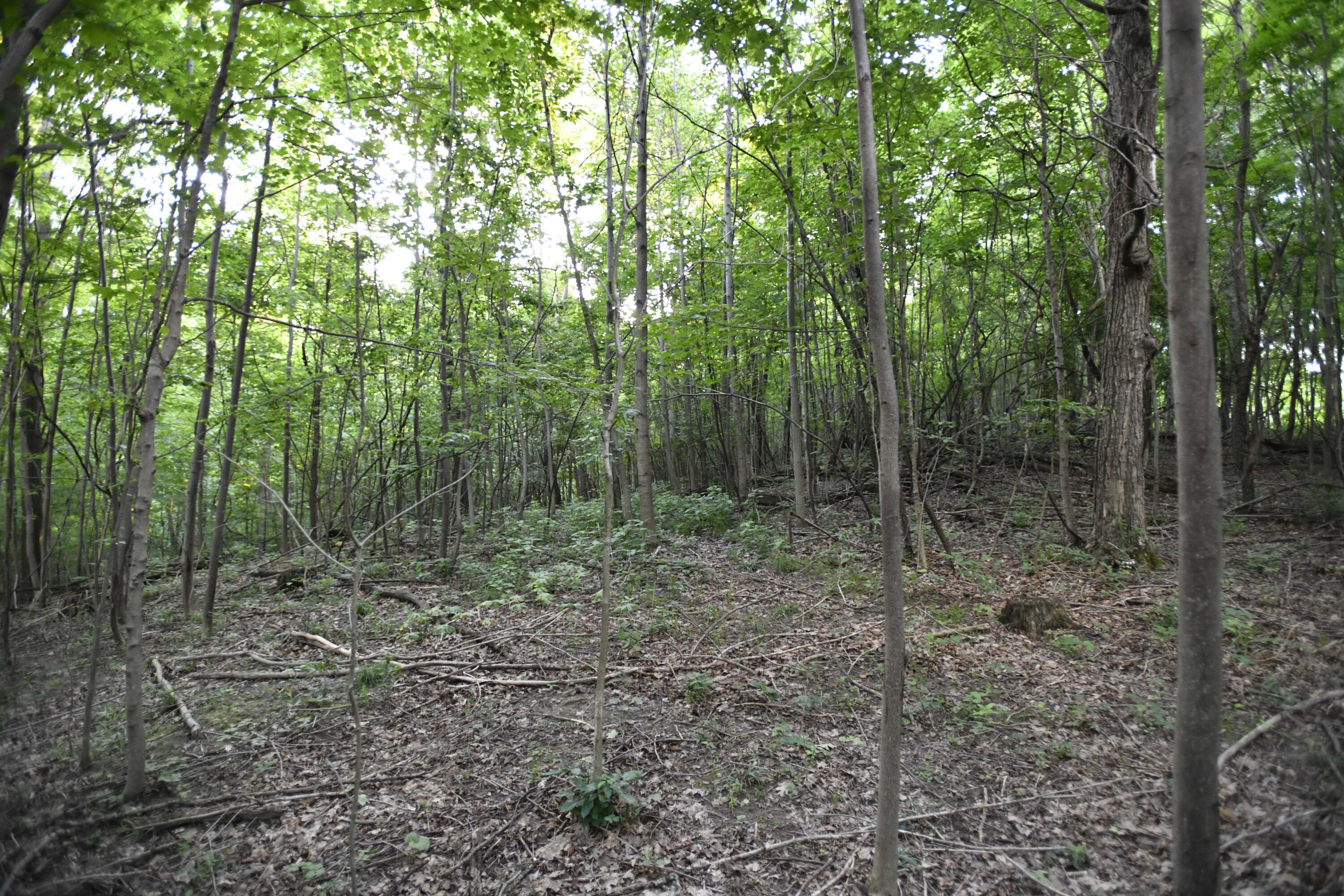 0 County Road 10, Bellefontaine, Ohio 43311