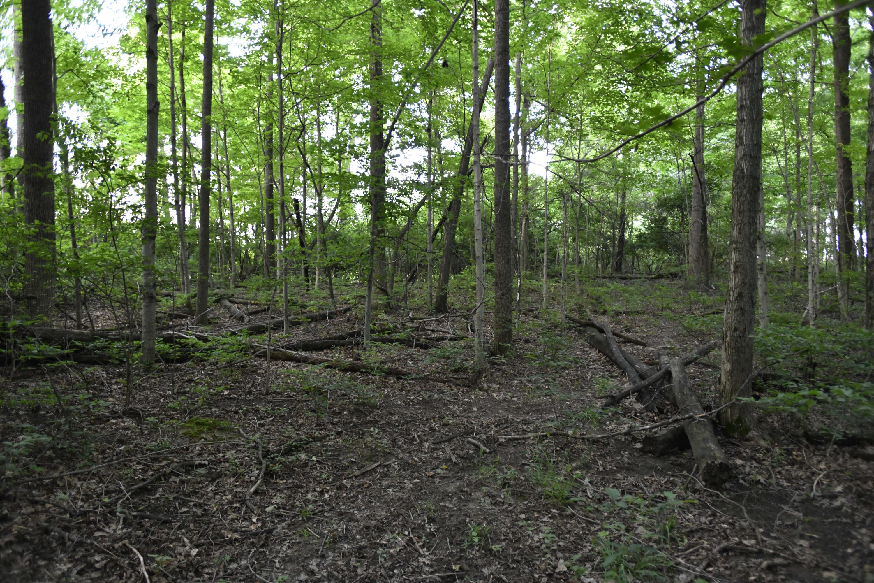 0 County Road 10, Bellefontaine, Ohio 43311