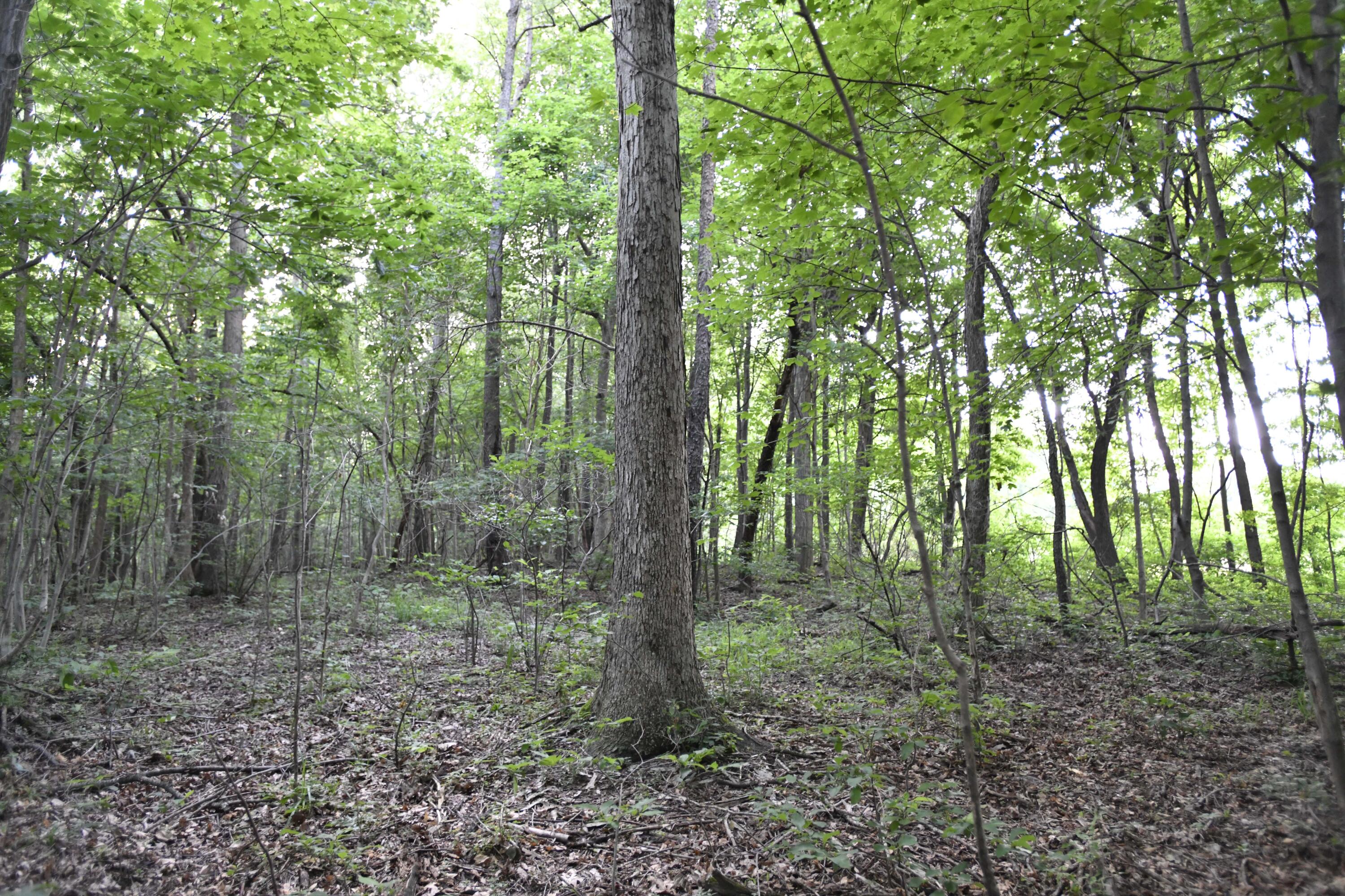 0 County Road 10, Bellefontaine, Ohio 43311
