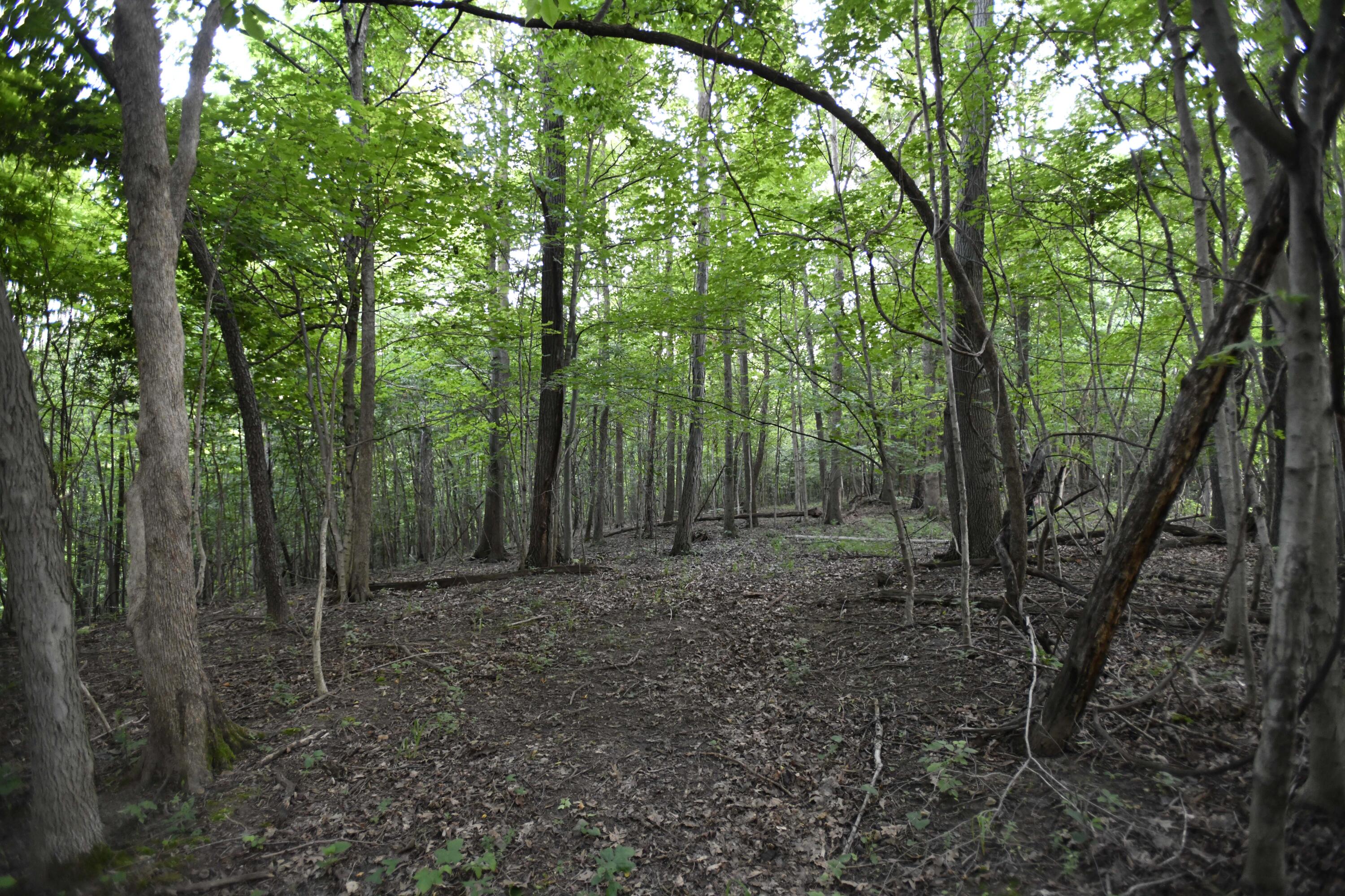 0 County Road 10, Bellefontaine, Ohio 43311