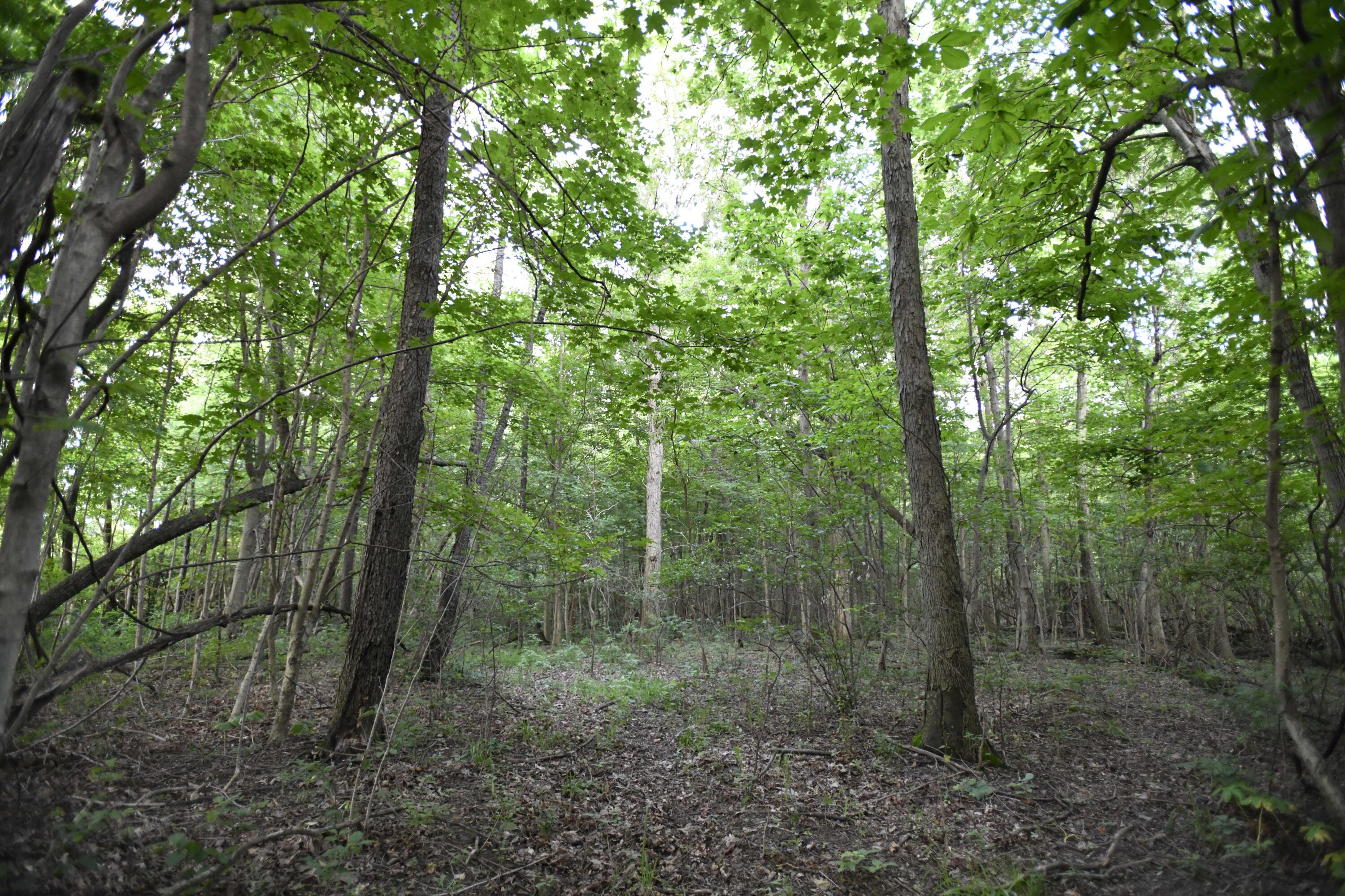 0 County Road 10, Bellefontaine, Ohio 43311