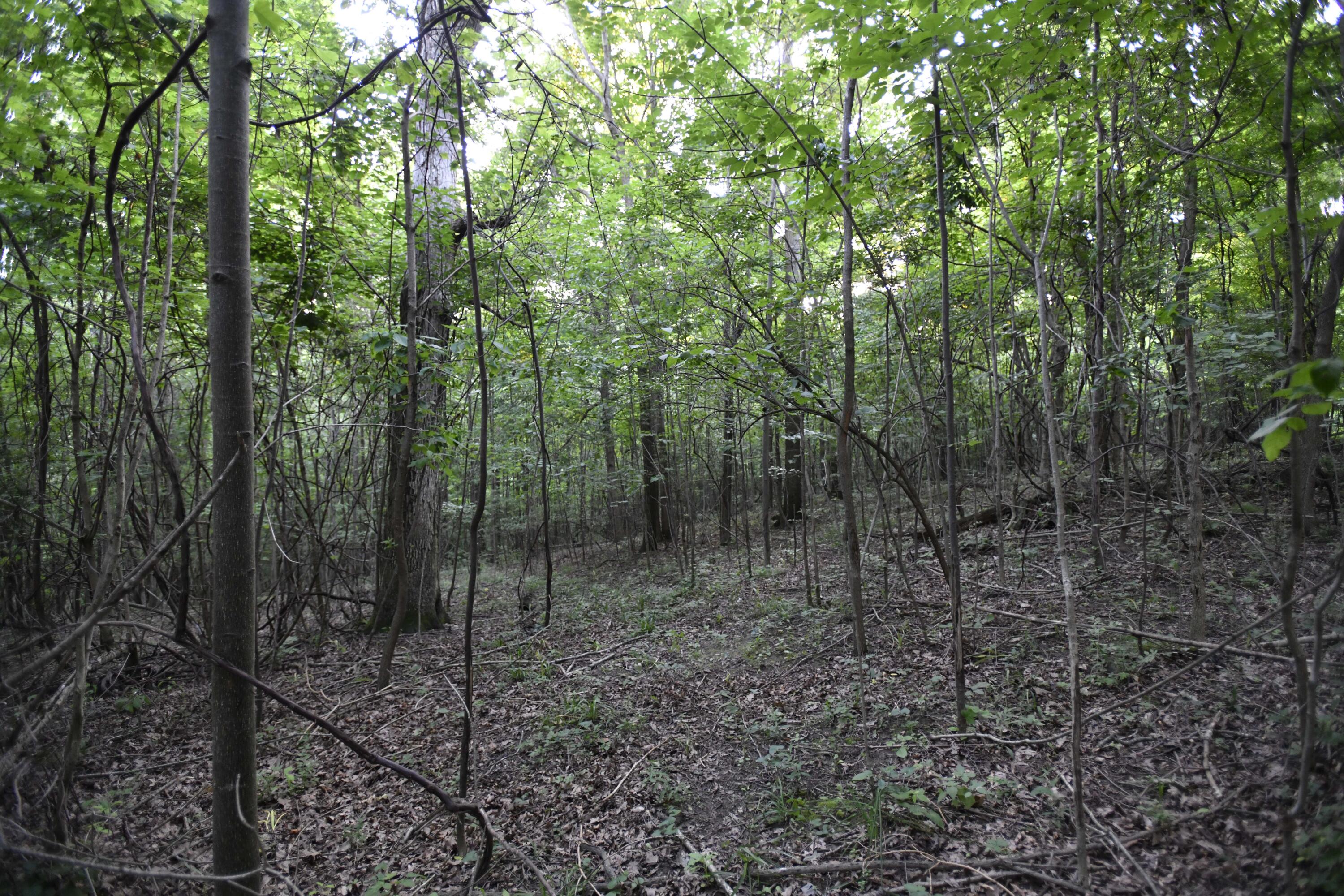 0 County Road 10, Bellefontaine, Ohio 43311