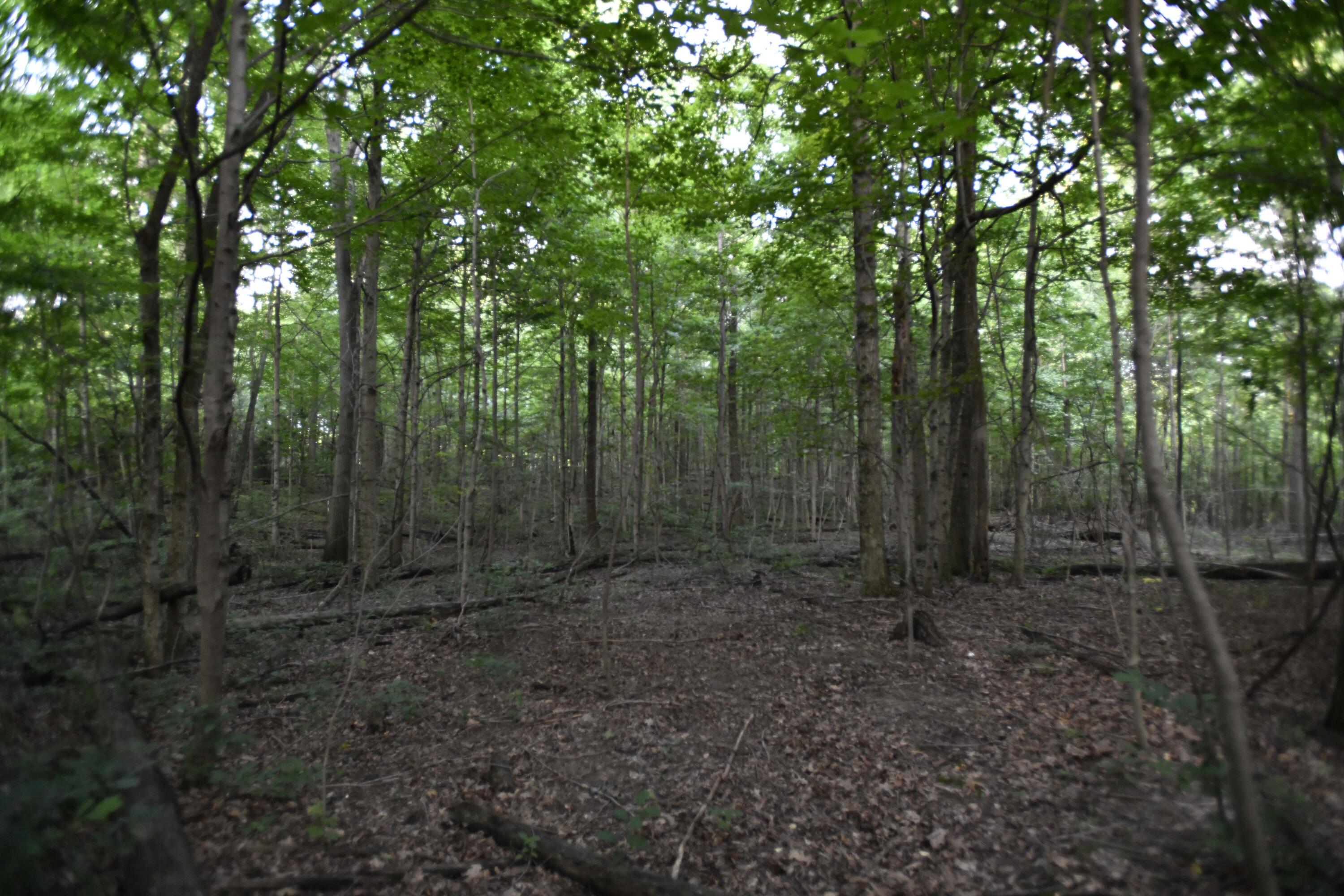 0 County Road 10, Bellefontaine, Ohio 43311