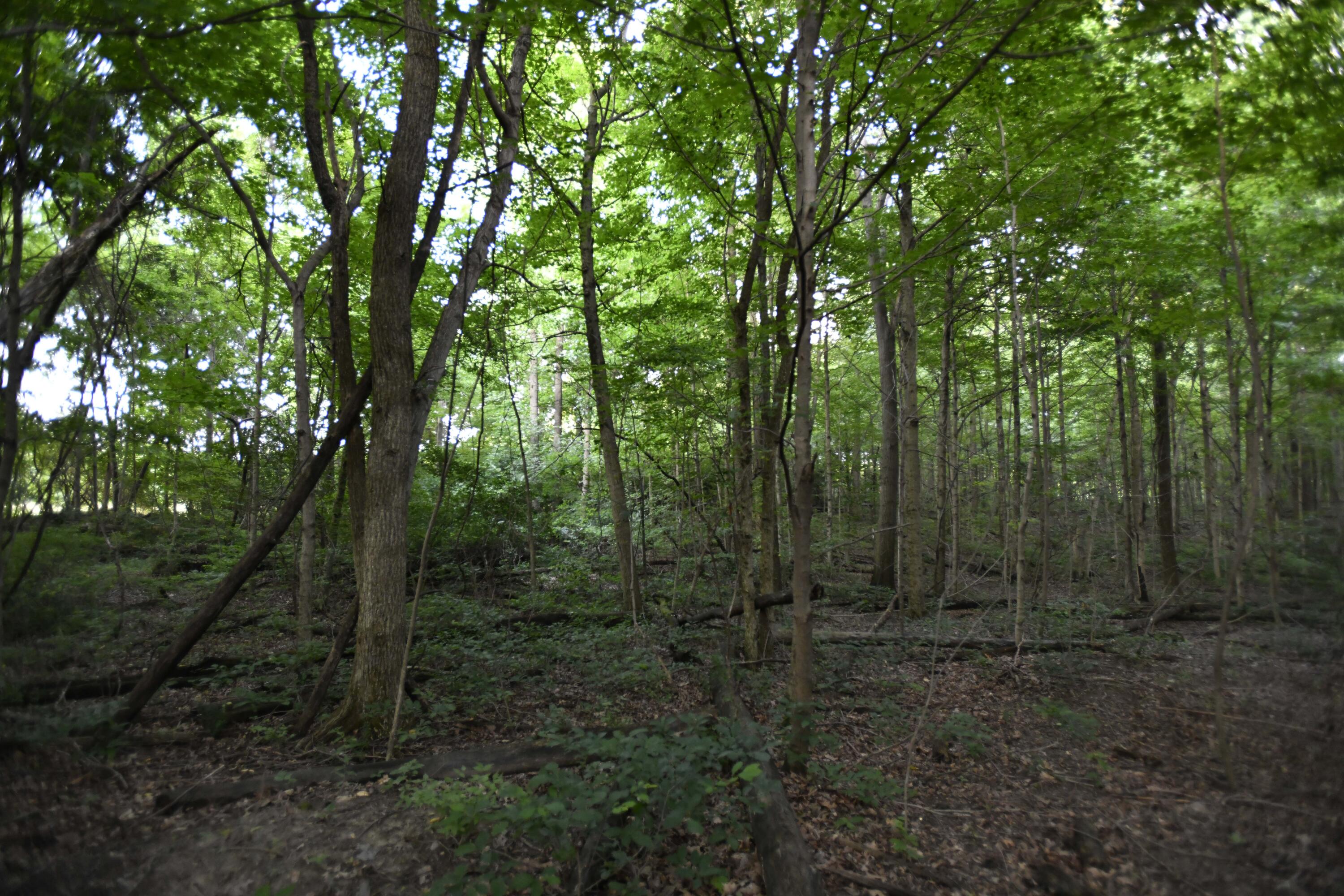 0 County Road 10, Bellefontaine, Ohio 43311
