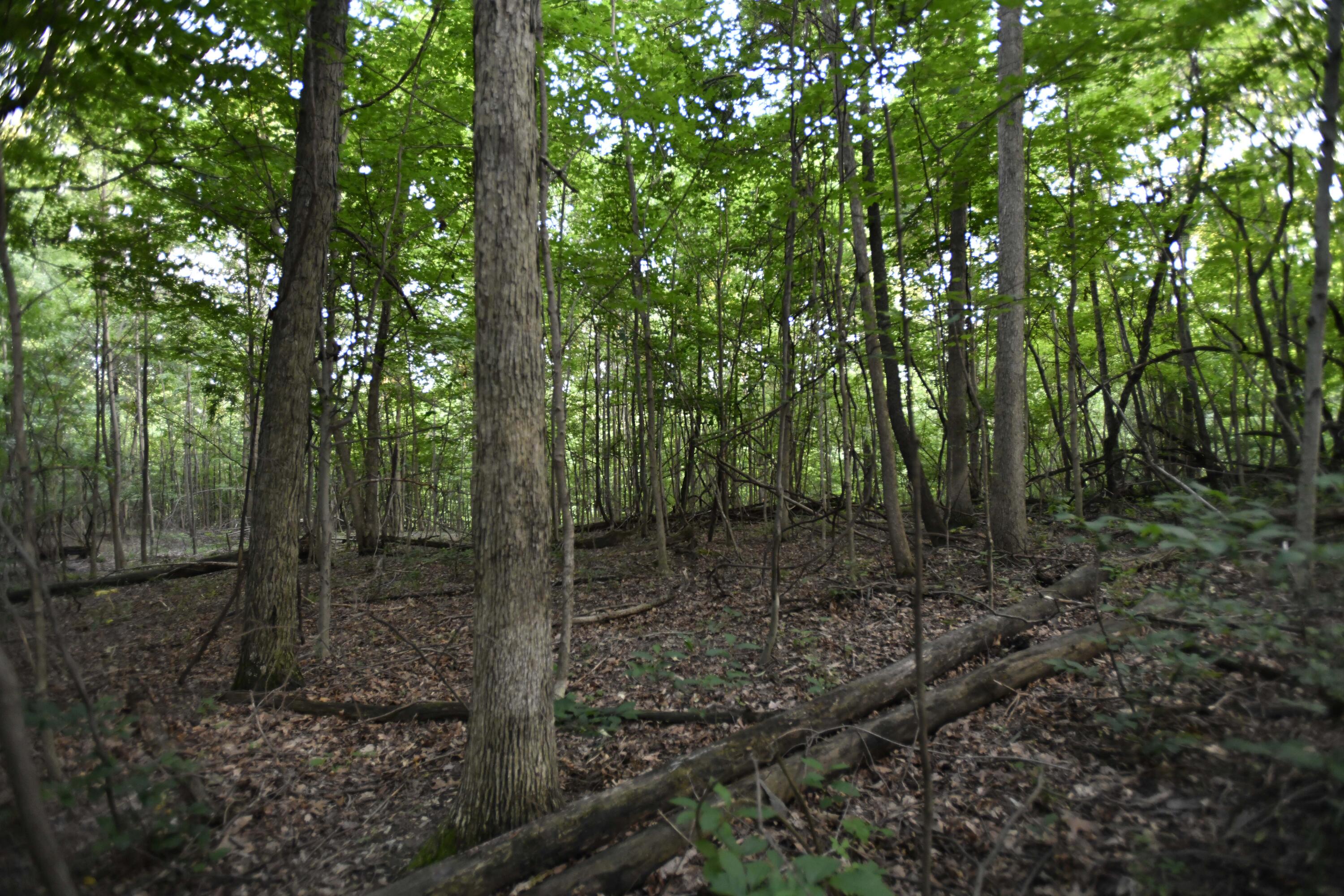 0 County Road 10, Bellefontaine, Ohio 43311
