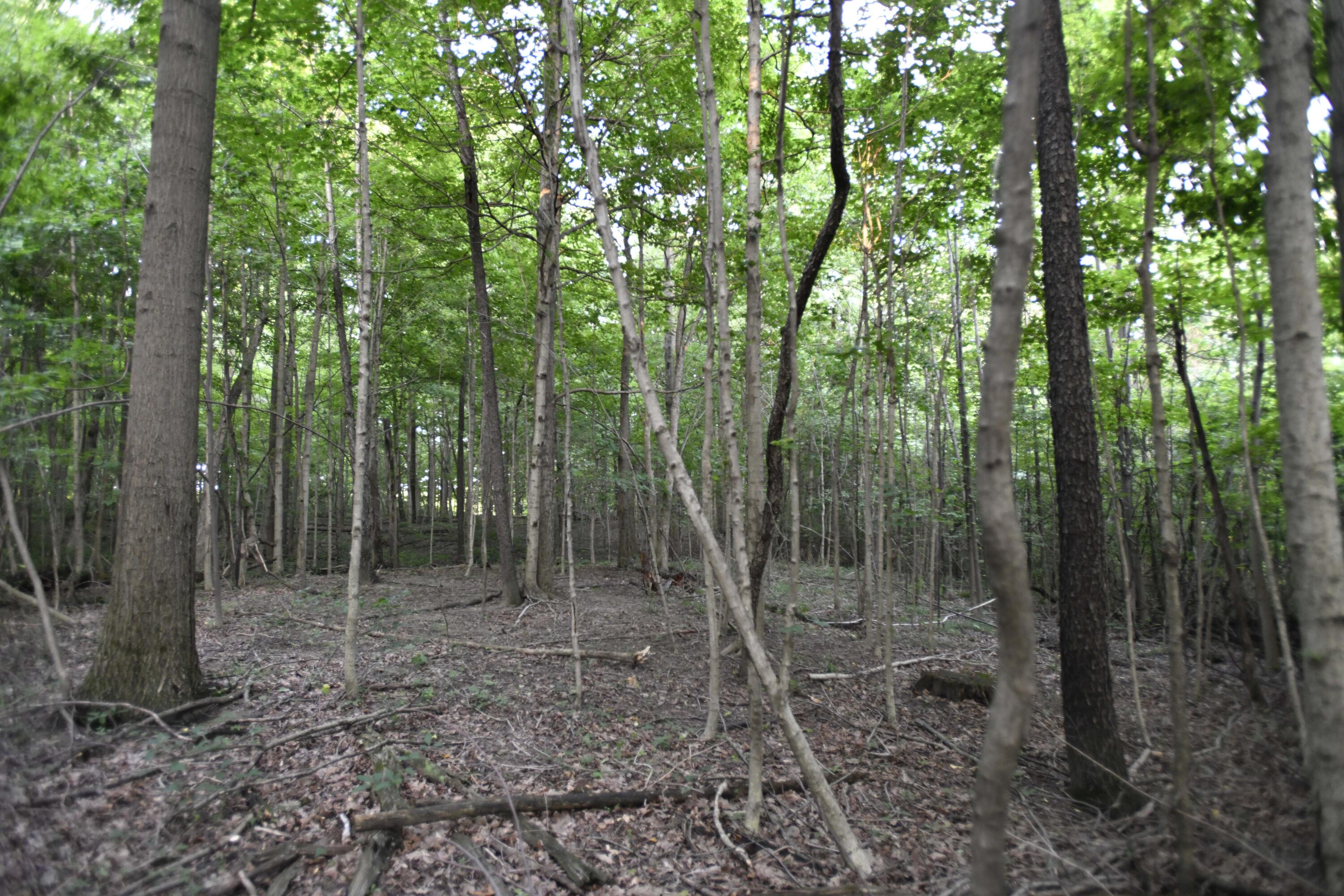 0 County Road 10, Bellefontaine, Ohio 43311