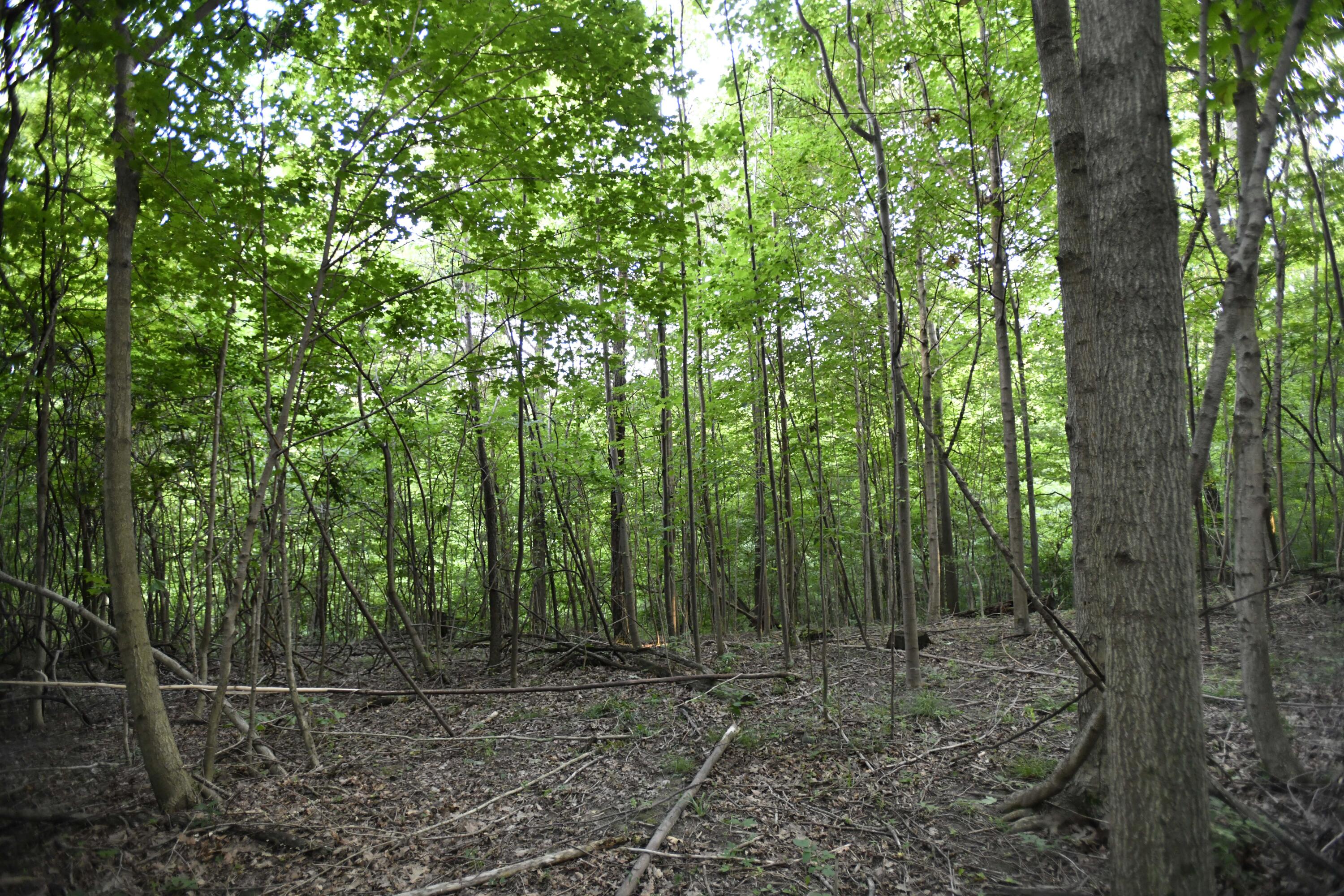 0 County Road 10, Bellefontaine, Ohio 43311