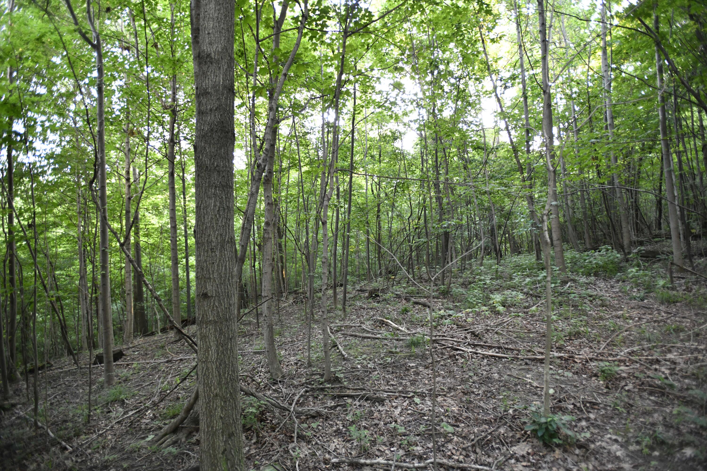 0 County Road 10, Bellefontaine, Ohio 43311