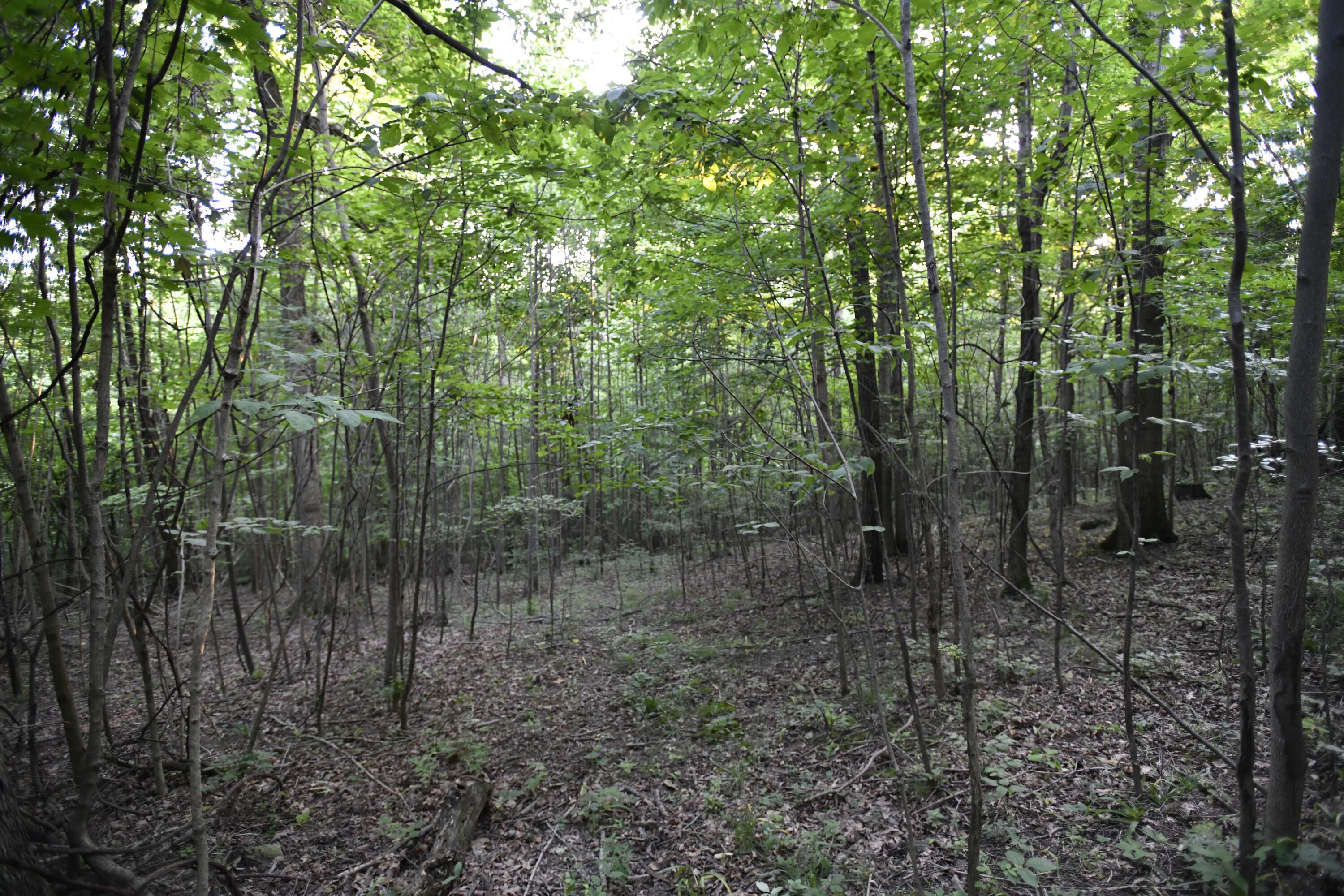 0 County Road 10, Bellefontaine, Ohio 43311