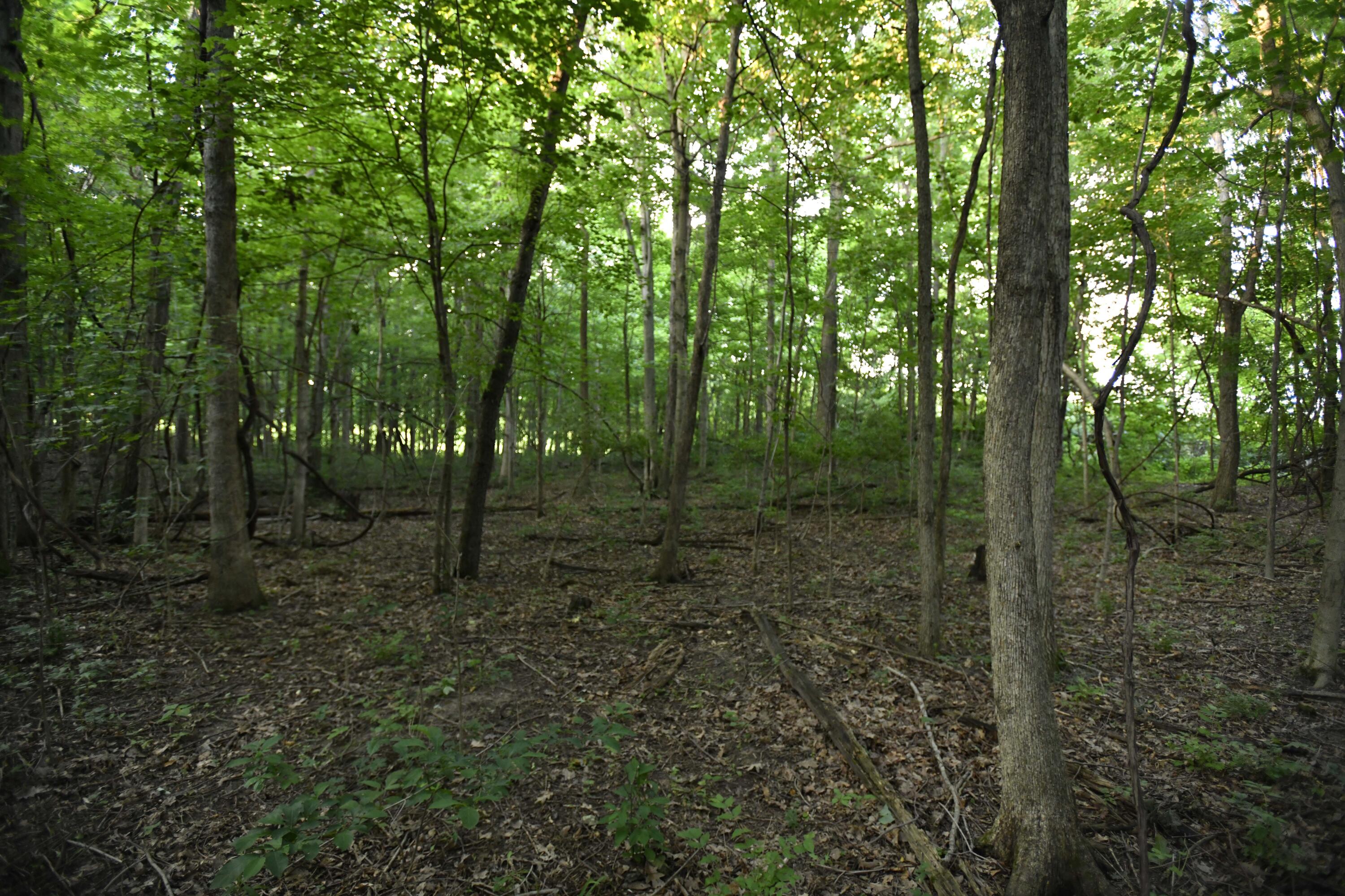 0 County Road 10, Bellefontaine, Ohio 43311