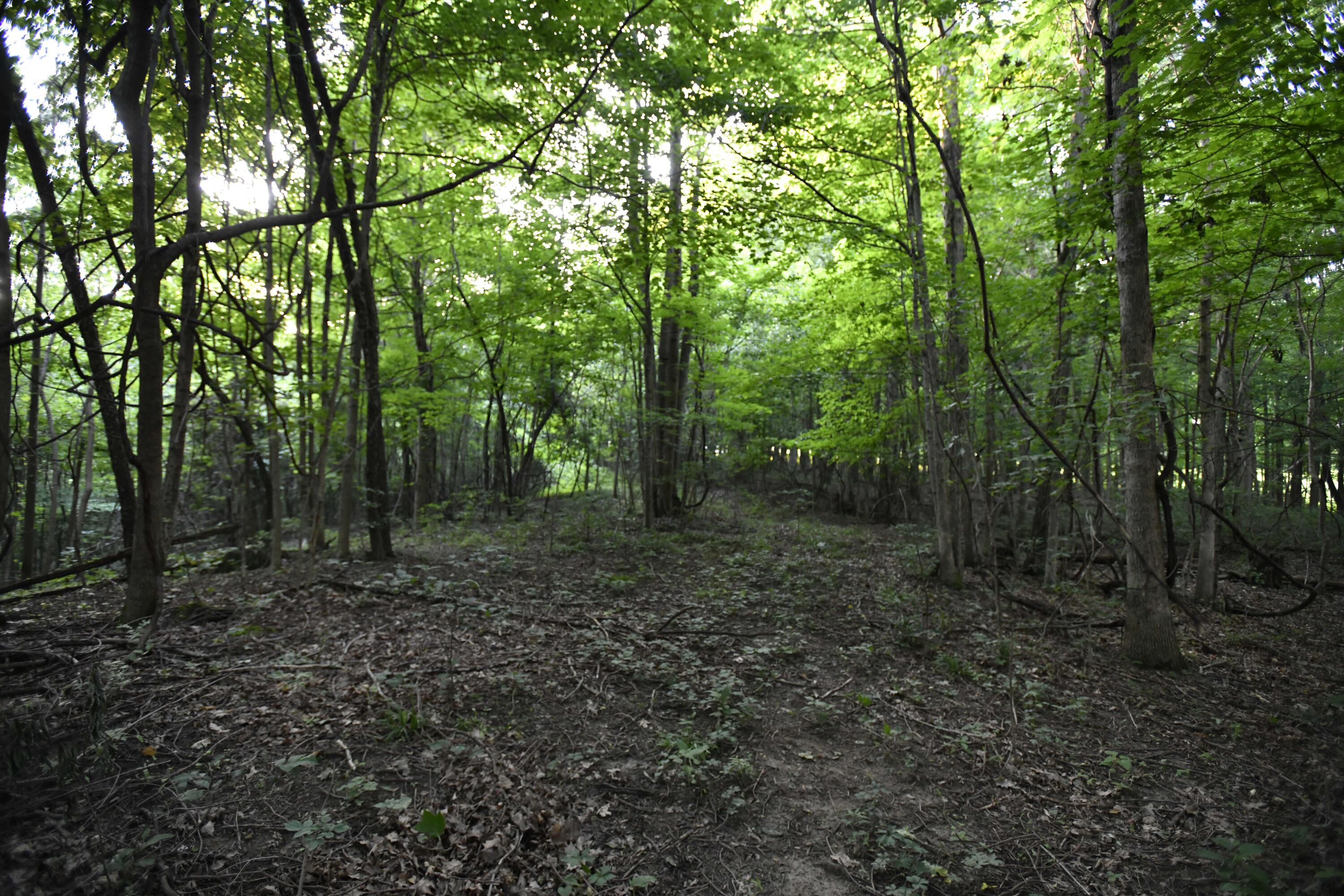 0 County Road 10, Bellefontaine, Ohio 43311