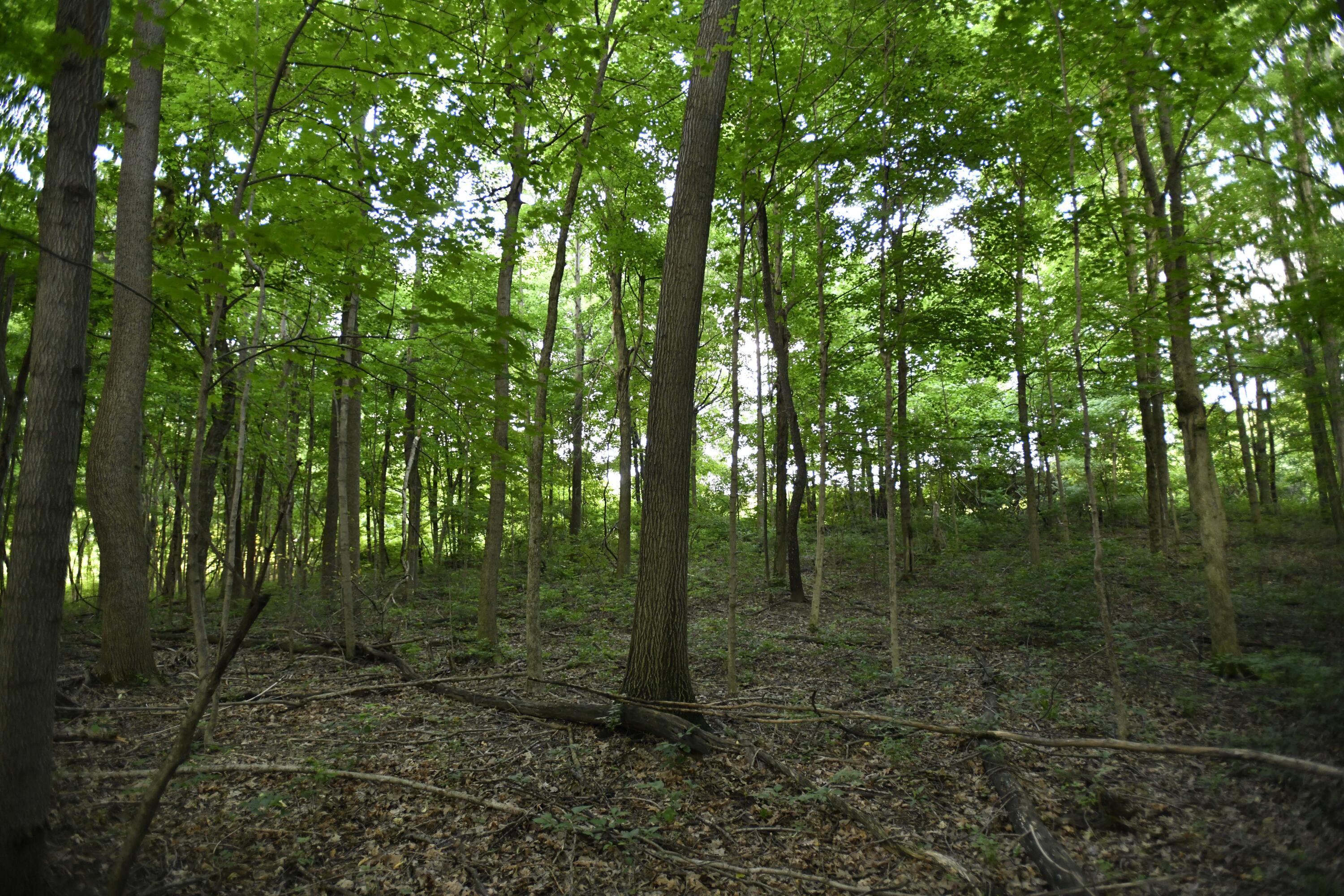 0 County Road 10, Bellefontaine, Ohio 43311
