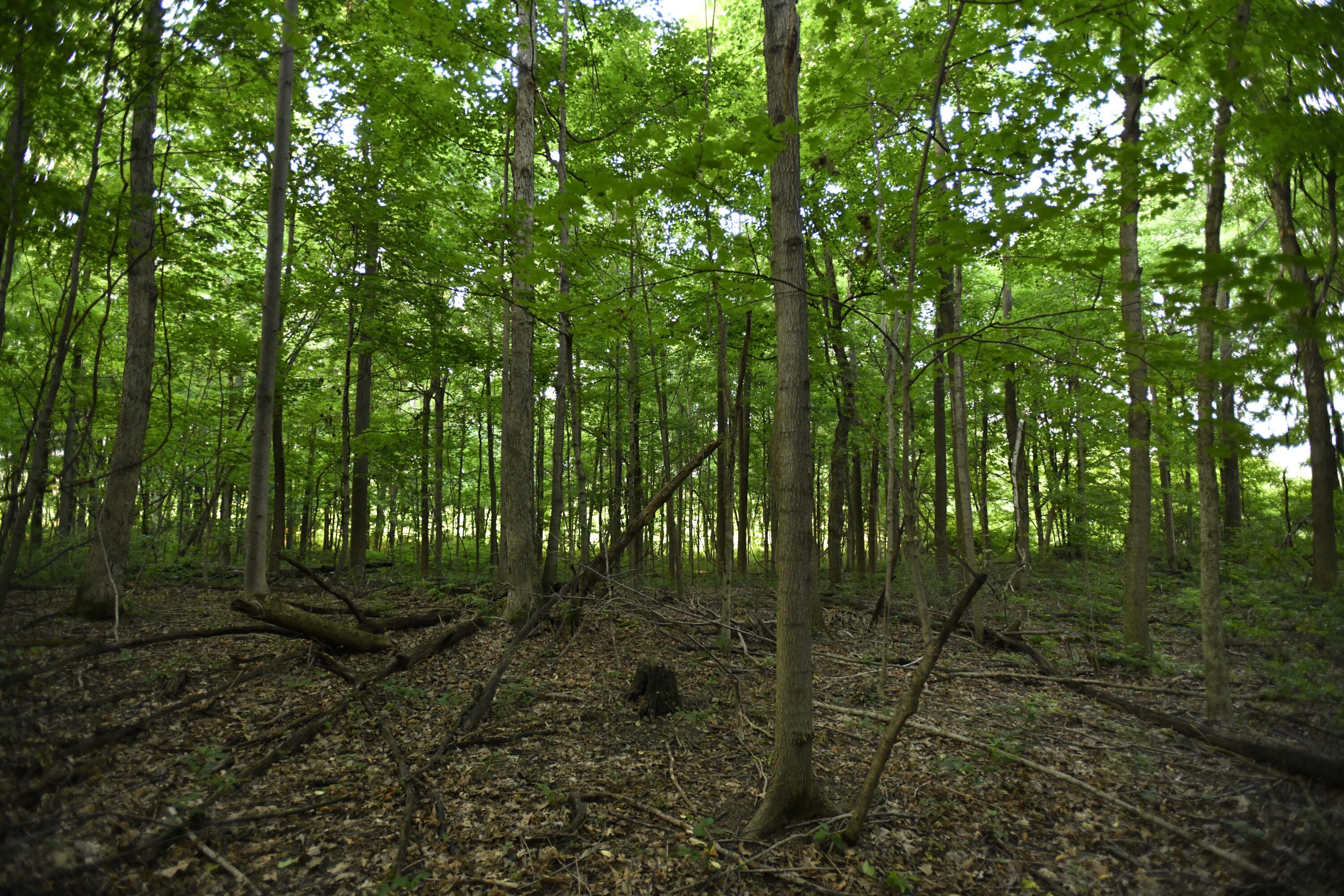 0 County Road 10, Bellefontaine, Ohio 43311
